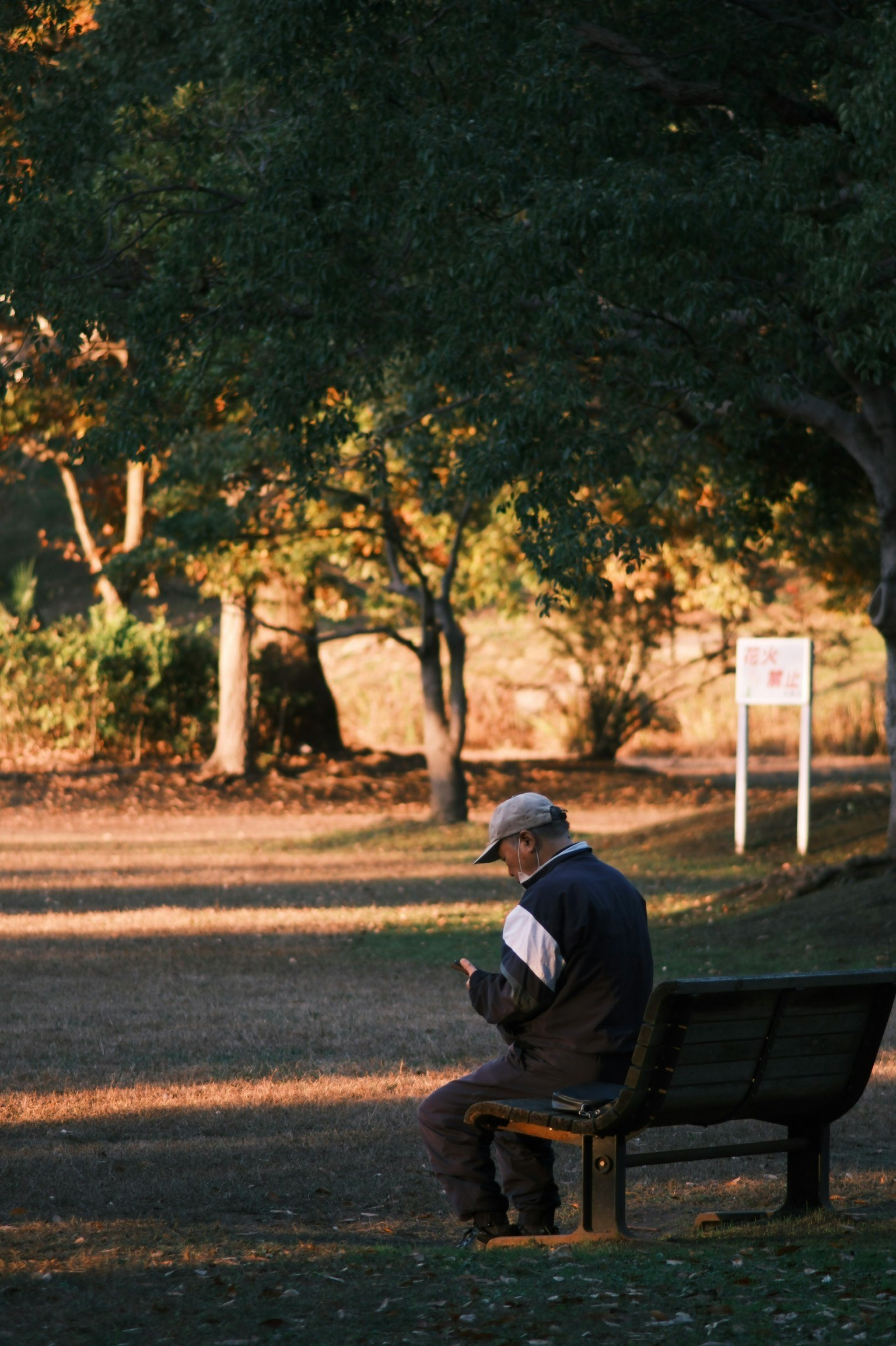 公園のベンチに座る男性がスマートフォンを操作している秋の風景