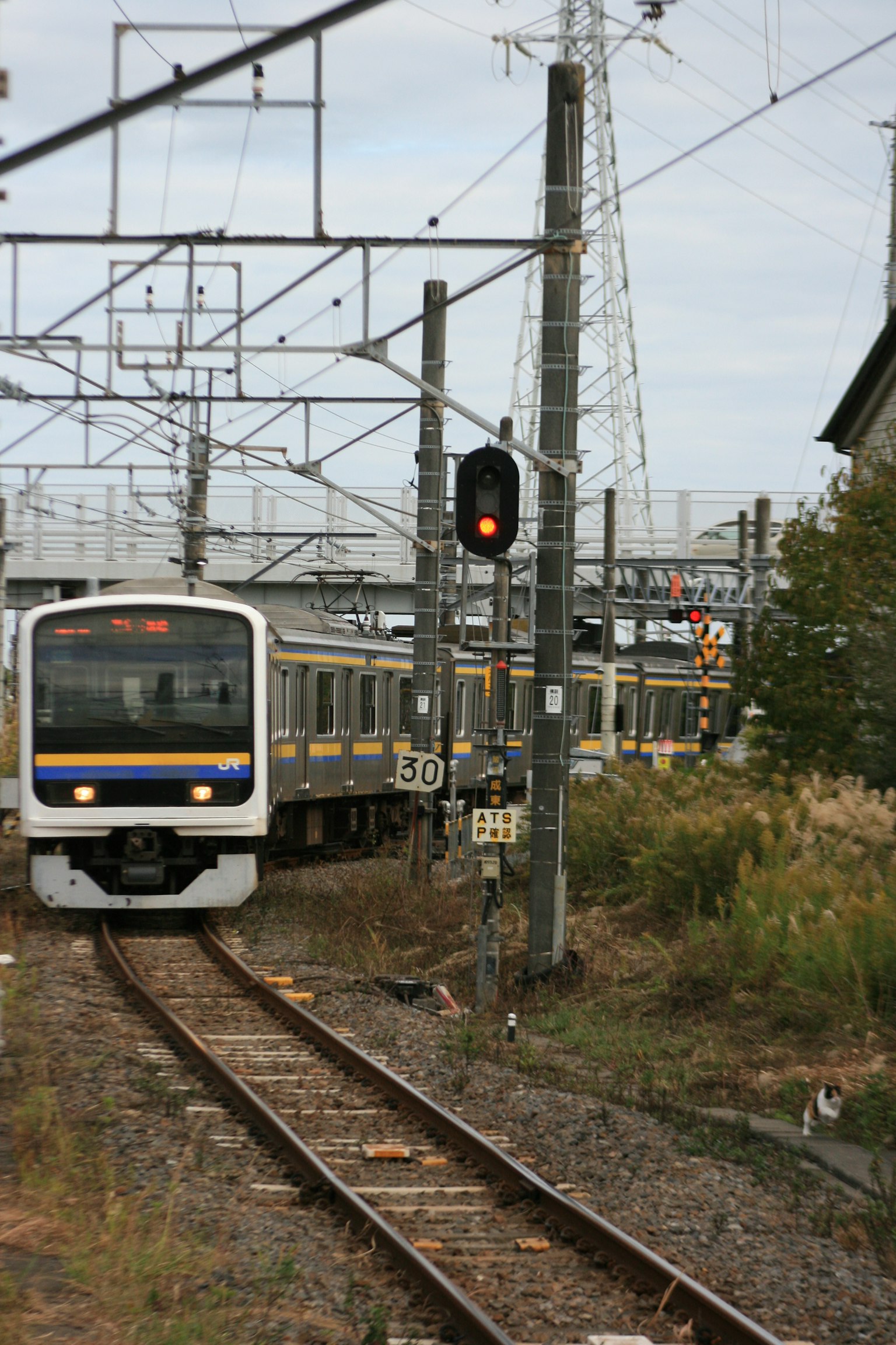 Train s'approchant d'un signal rouge sur la voie ferrée entourée d'herbe et de lignes électriques