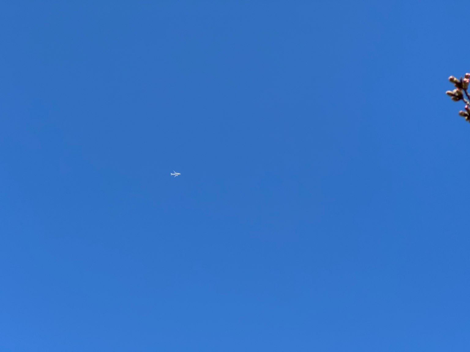Small white object floating in a clear blue sky