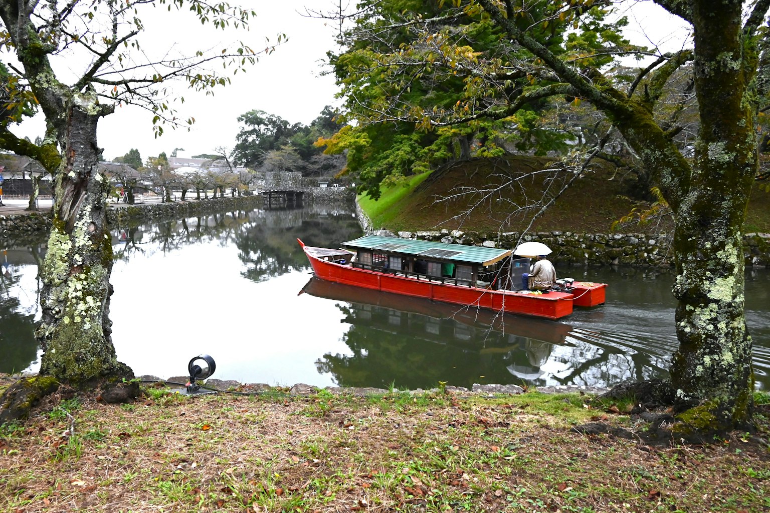 Un bateau rouge glissant sur une surface d'eau calme entourée d'arbres