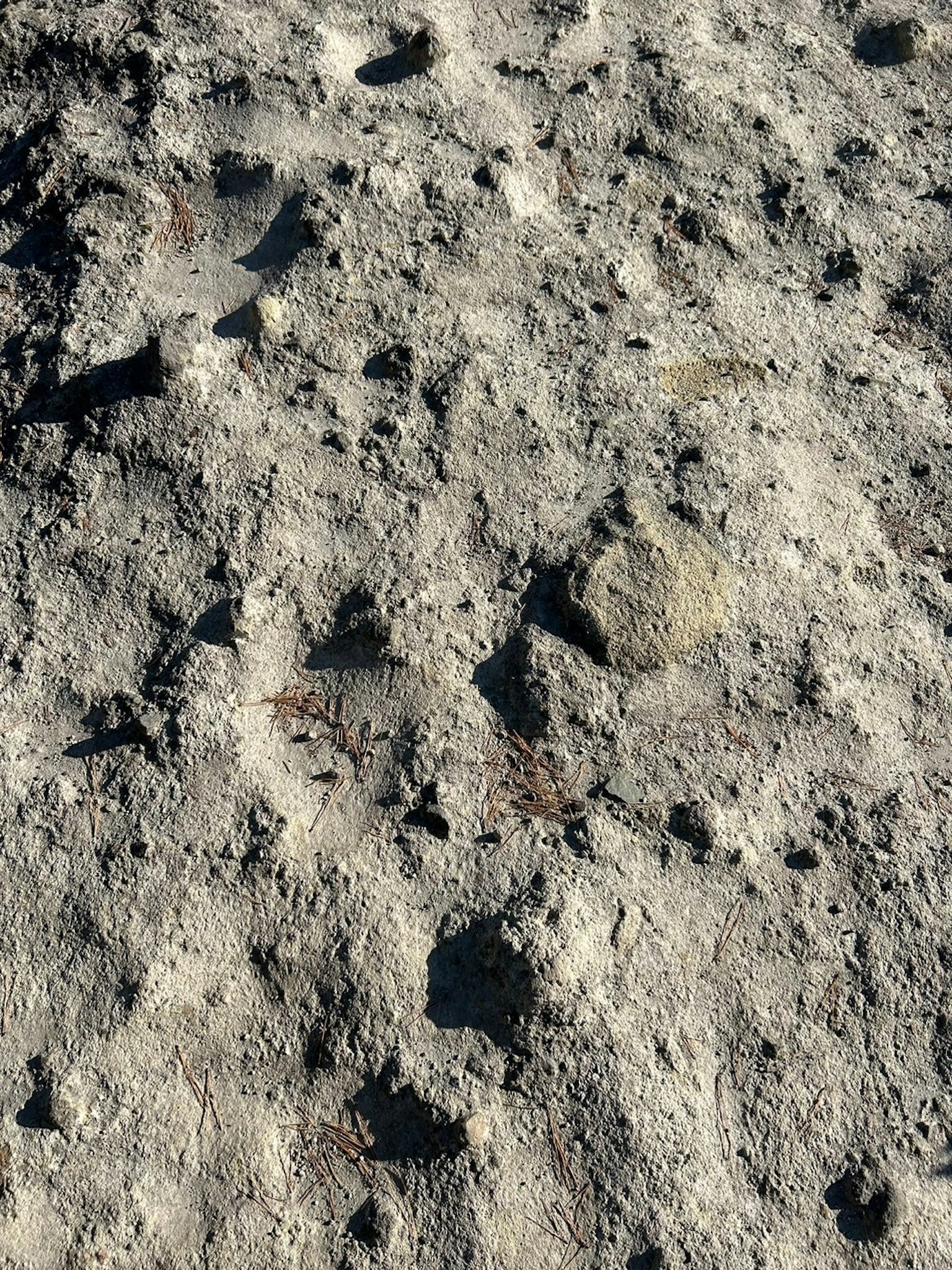 崎嶇地形上散落的岩石