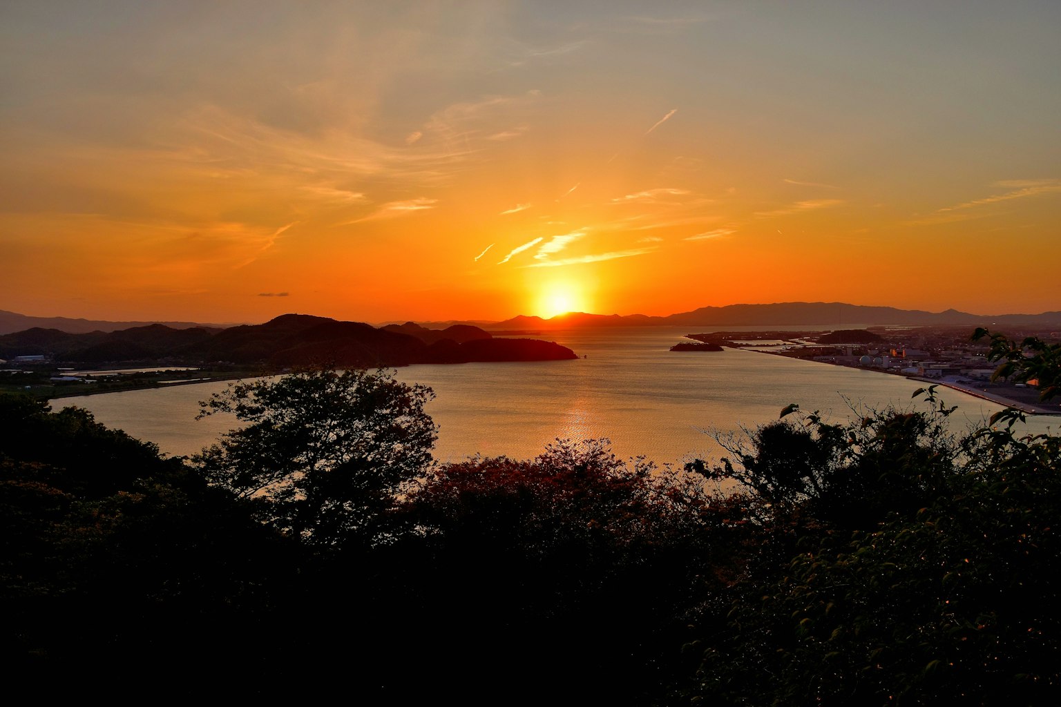 Bellissimo tramonto sul mare con alberi circostanti