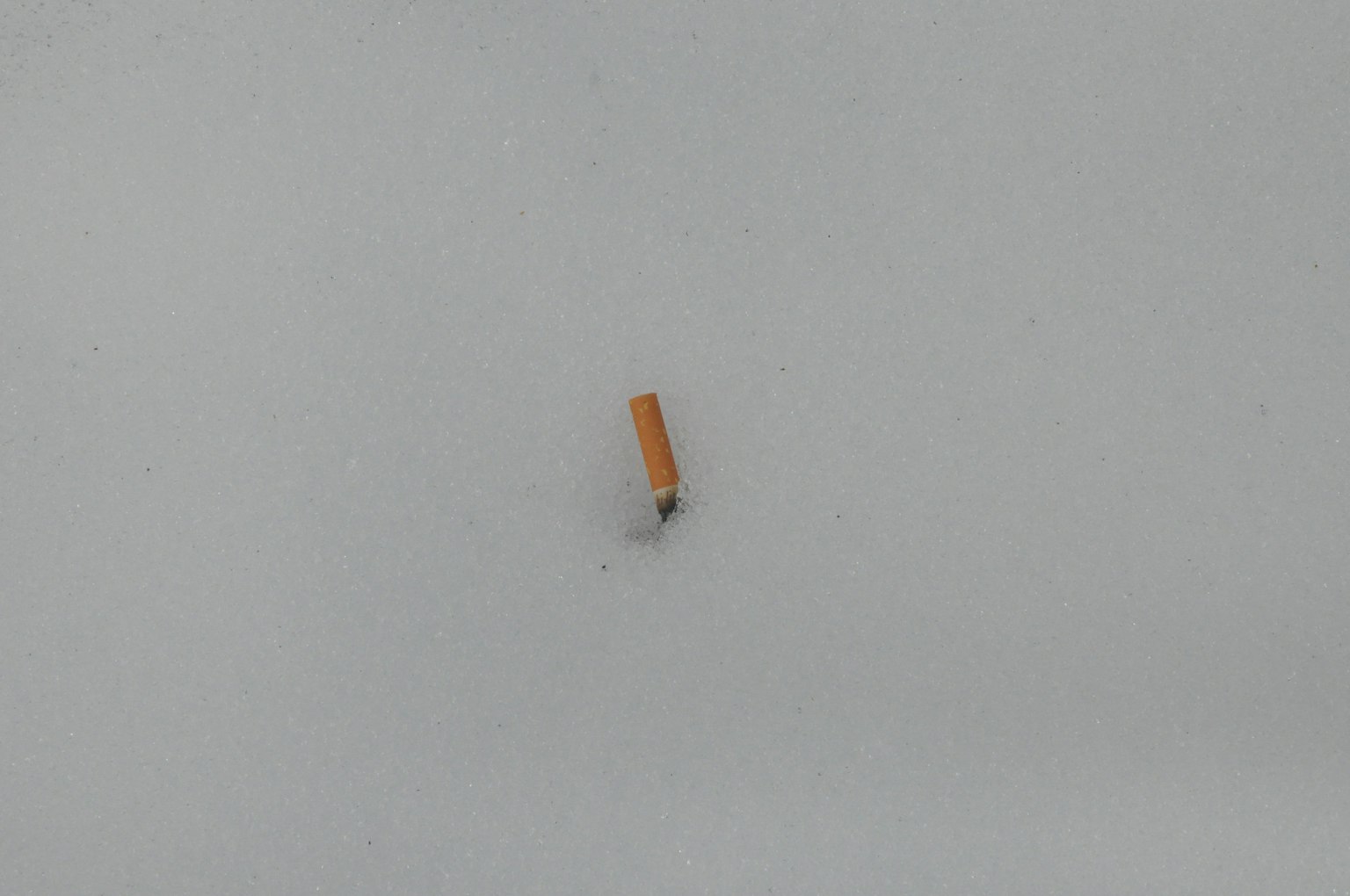 白色背景中央的一個小橙色物體
