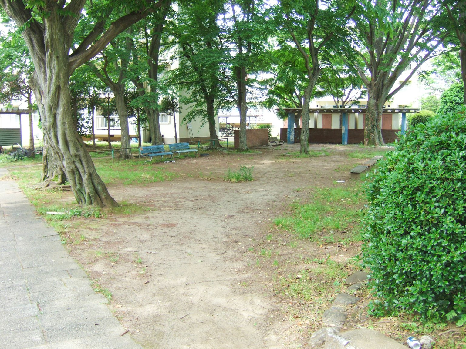 Escena de parque rodeada de árboles verdes con un camino y un área de césped