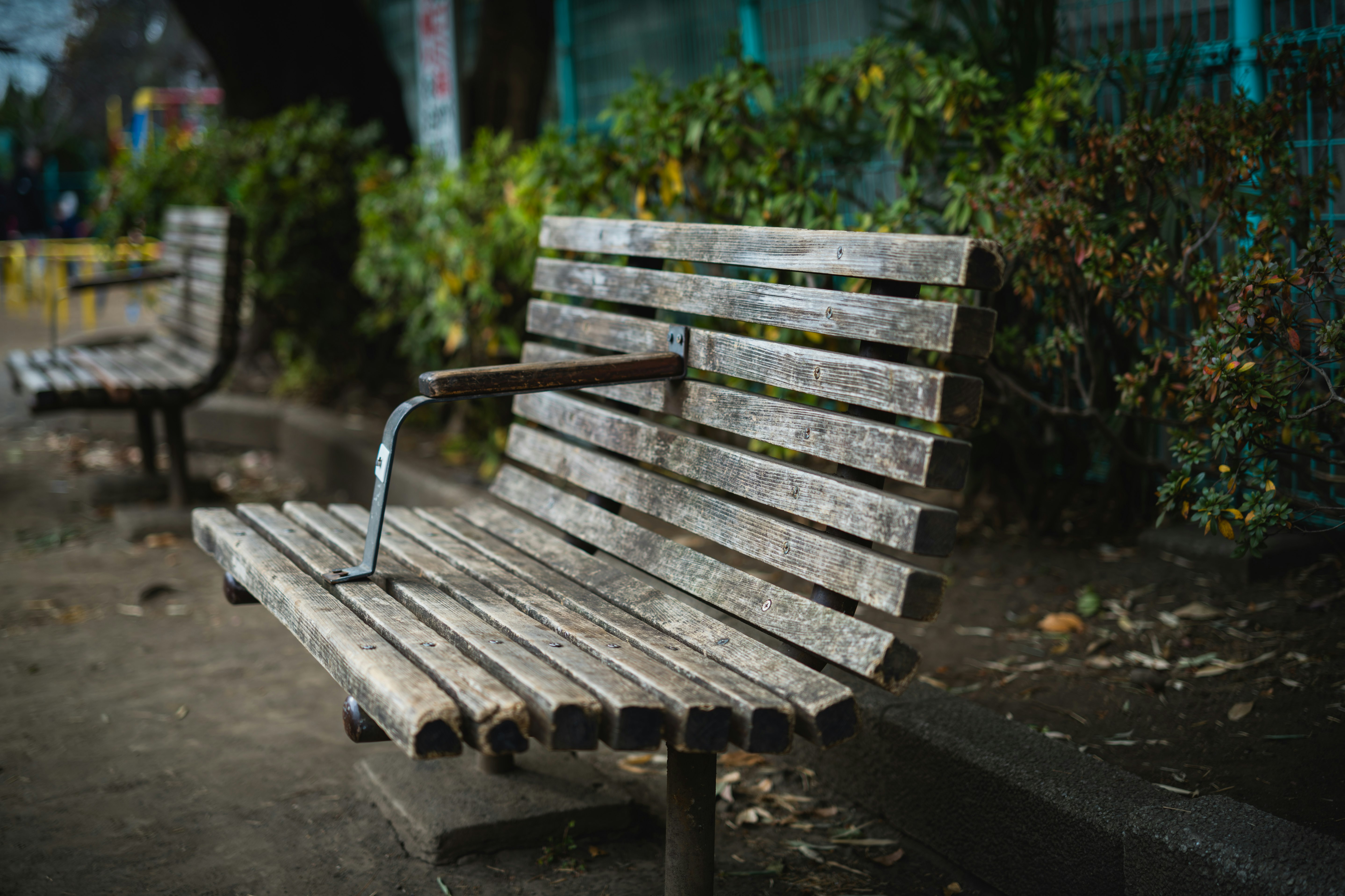 公園步道旁的木質長椅
