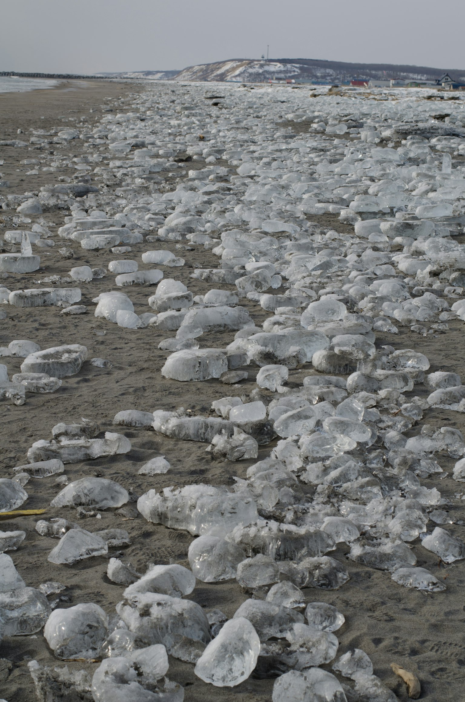 Strandlandschaft mit verstreuten Eisstücken