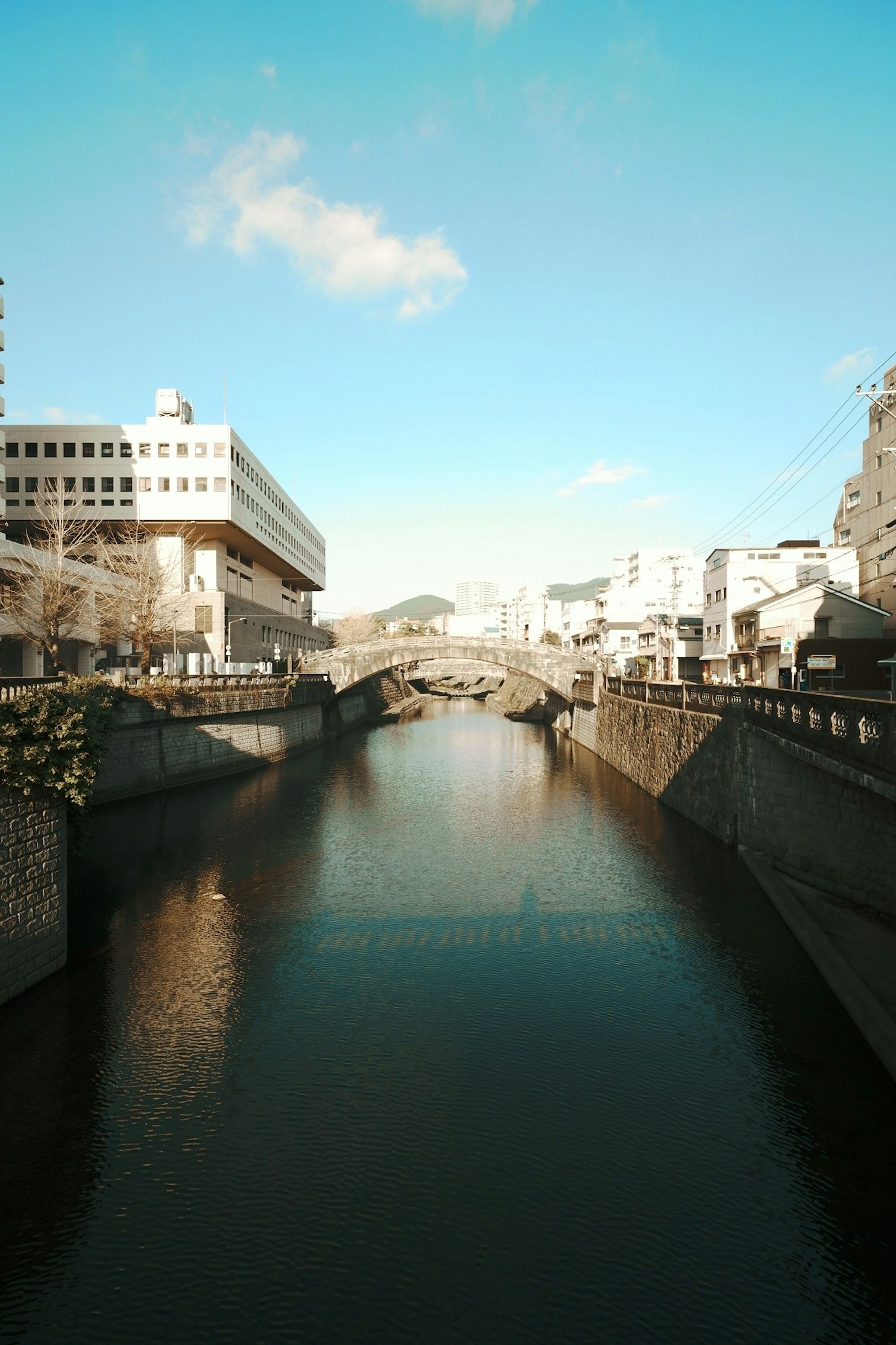 川と橋が見える都市の風景