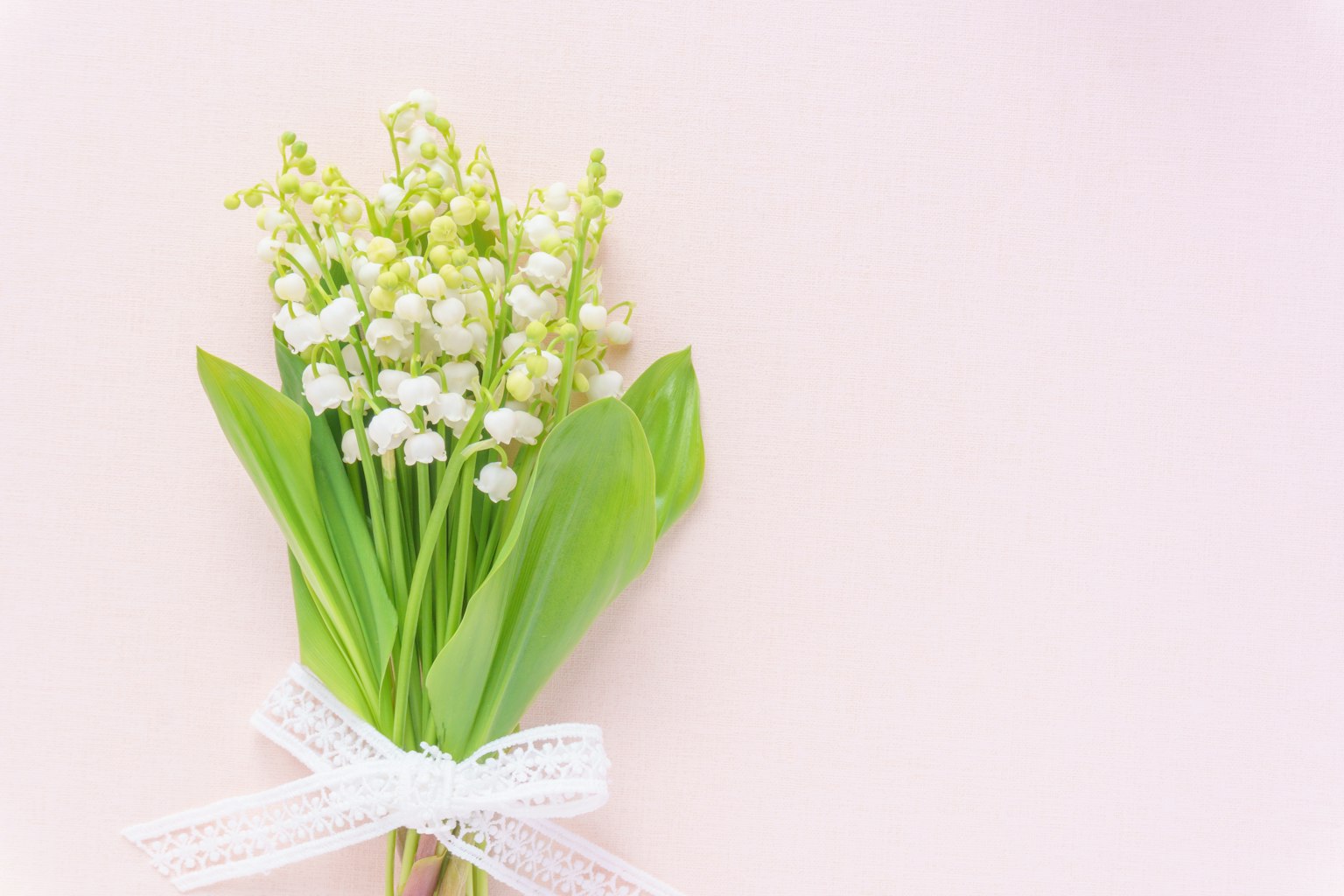 Un ramo de flores de lirio de los valles blancas atado con una cinta sobre un fondo rosa suave