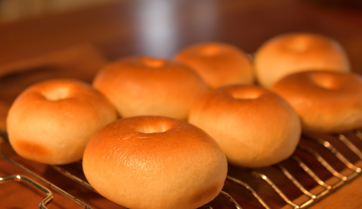 Freshly baked bagels cooling on a rack