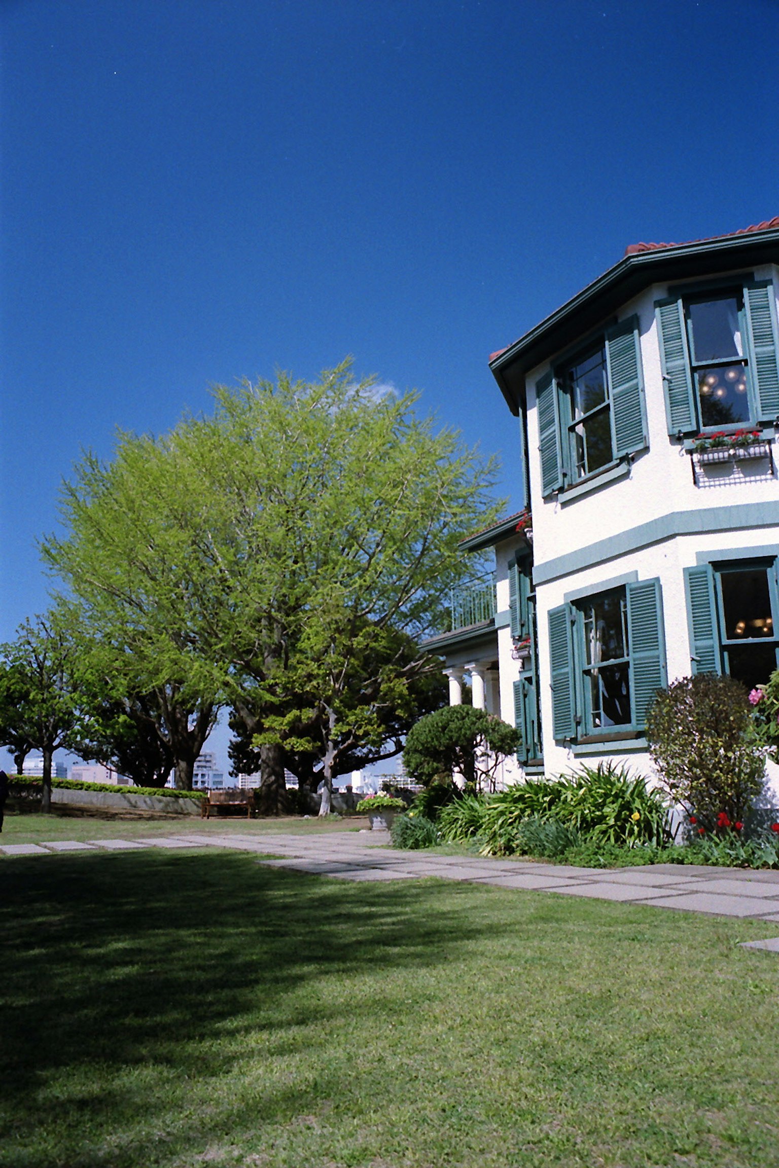 Casa blanca con persianas verdes y un gran árbol bajo un cielo azul