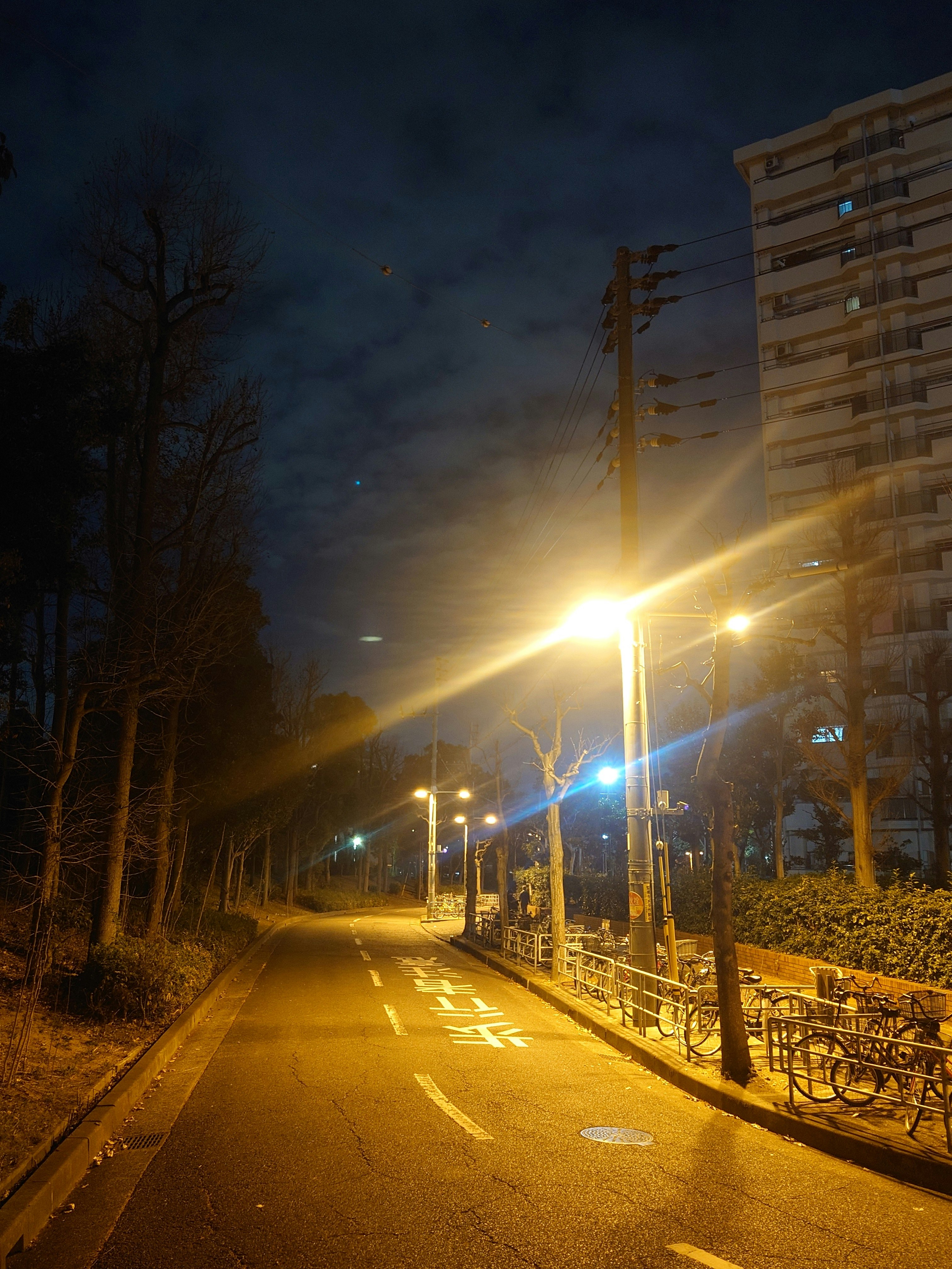 夜の街路灯が照らす並木道と高層住宅のある通り