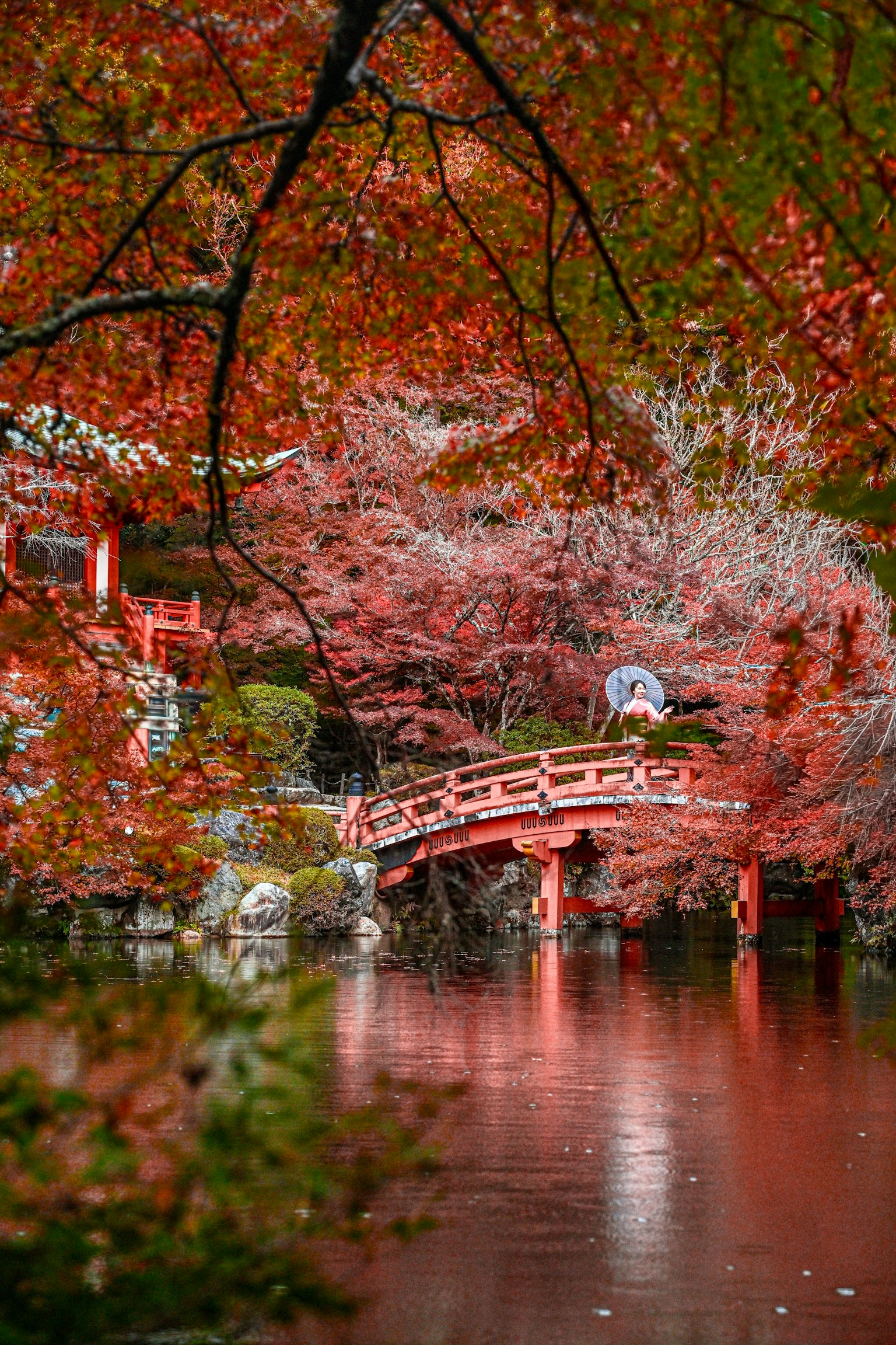 photo-0Pm7uB6Q7gLP7XZIDSPJ-image