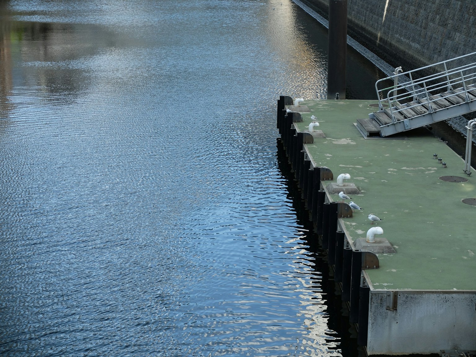 Ruhiges Wasser, das einen Steg mit Möwen spiegelt