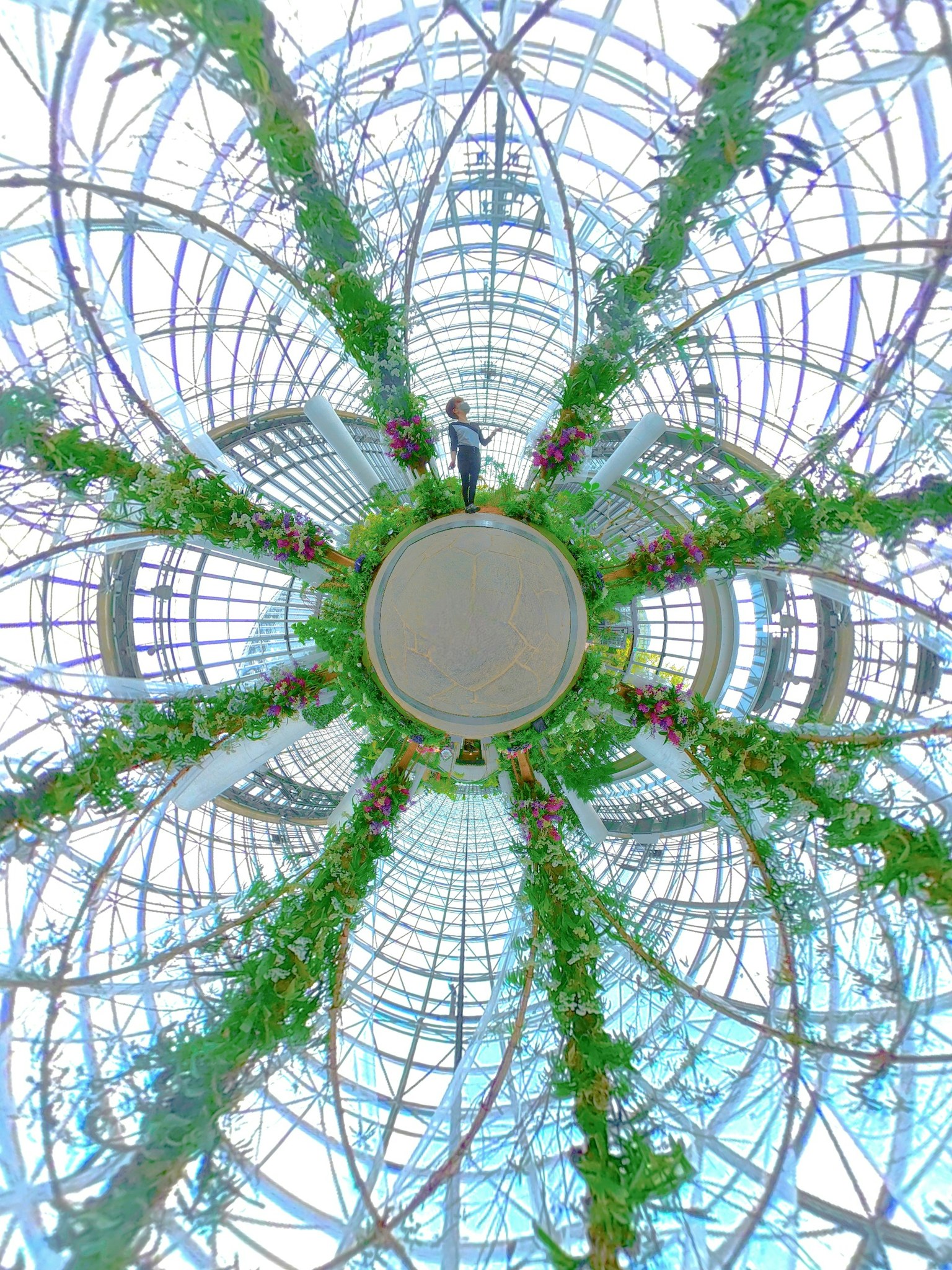 Intérieur de serre circulaire avec des plantes et une structure en verre transparent