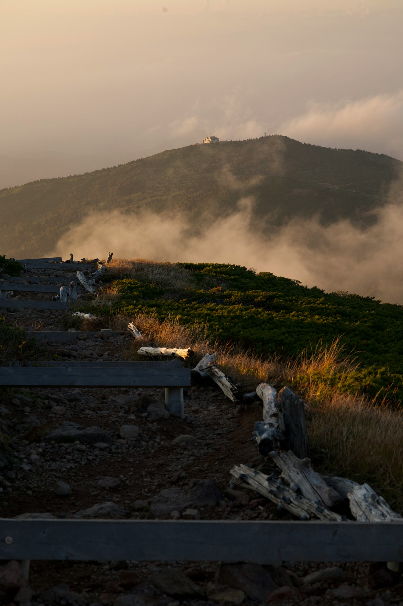 Sentier pittoresque avec des bûches et des montagnes brumeuses en arrière-plan