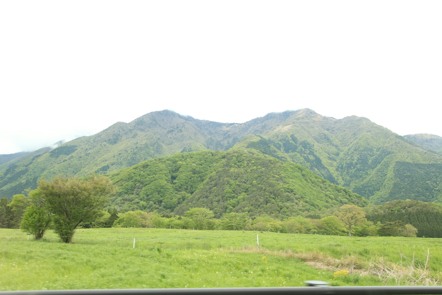Gunung hijau subur dengan padang luas