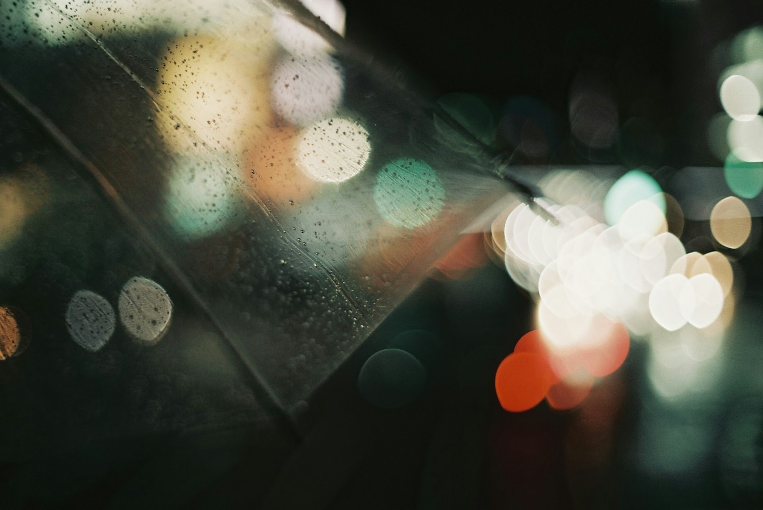 透明雨伞的特写，背景中模糊的城市灯光