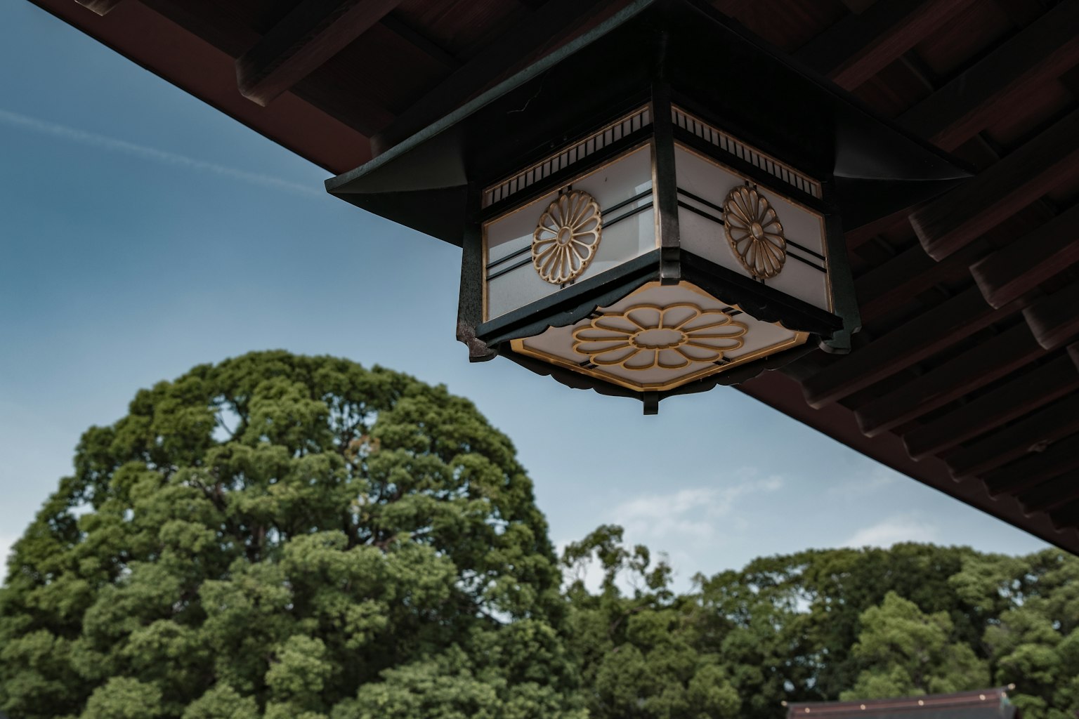 Une belle lanterne japonaise suspendue au-dessus des arbres verts luxuriants