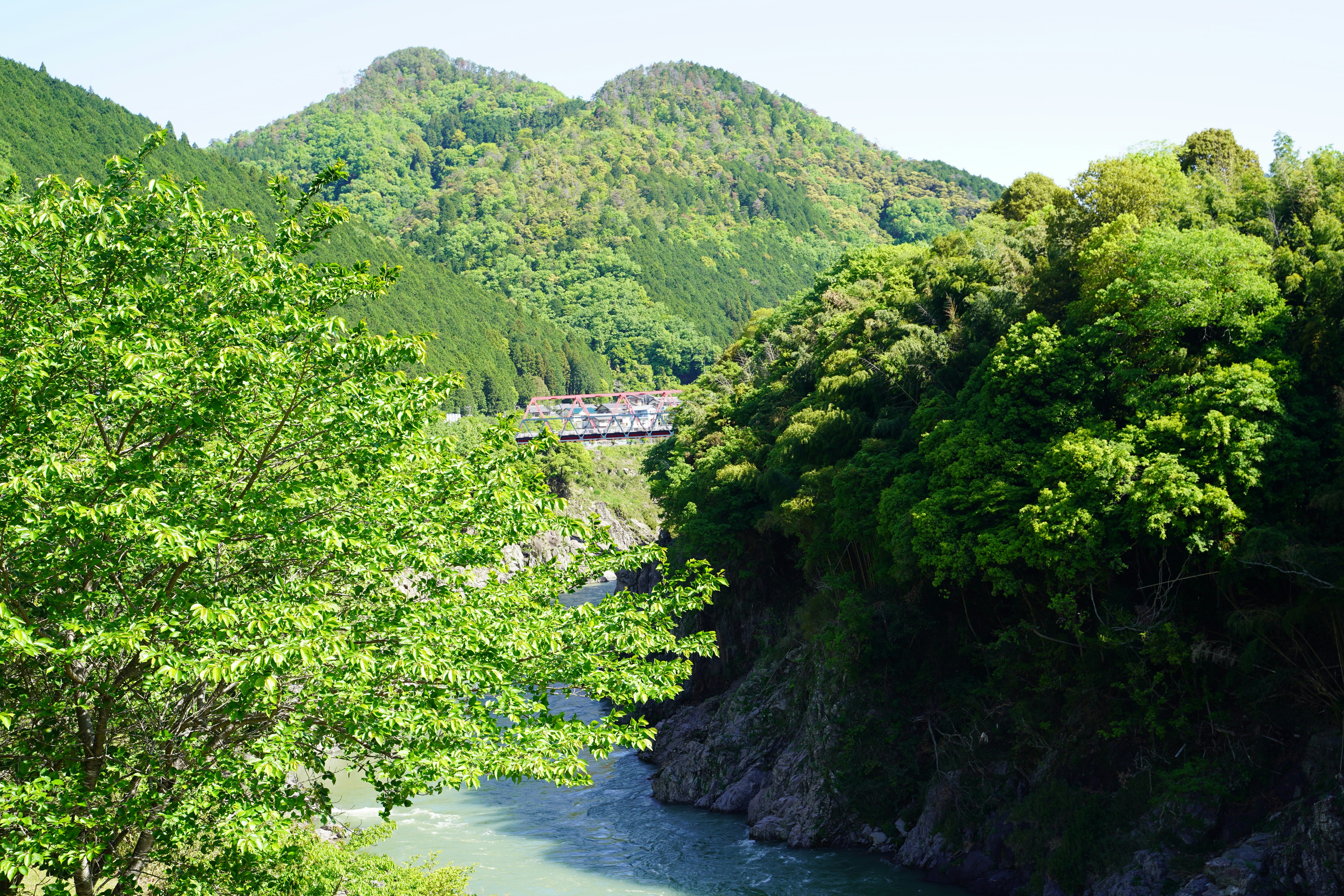緑の山々と川が流れる渓谷の風景