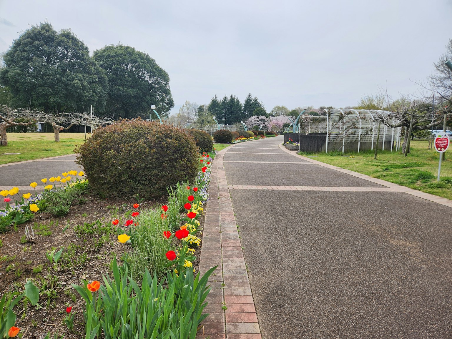 Bunte Blumen und Grün entlang eines Parkweges
