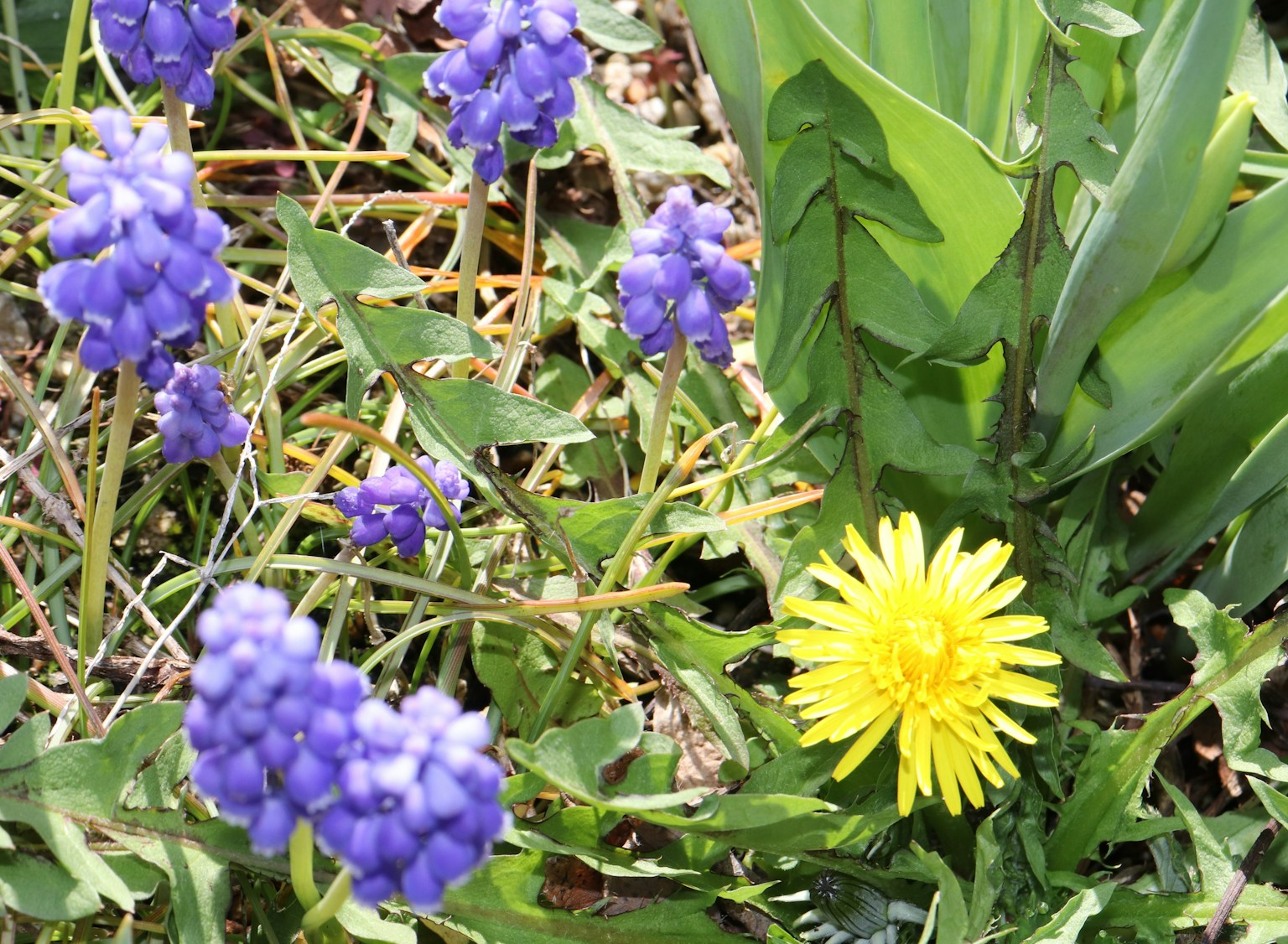 Metroda porno siqish Porno seks Tojikiston Khujand