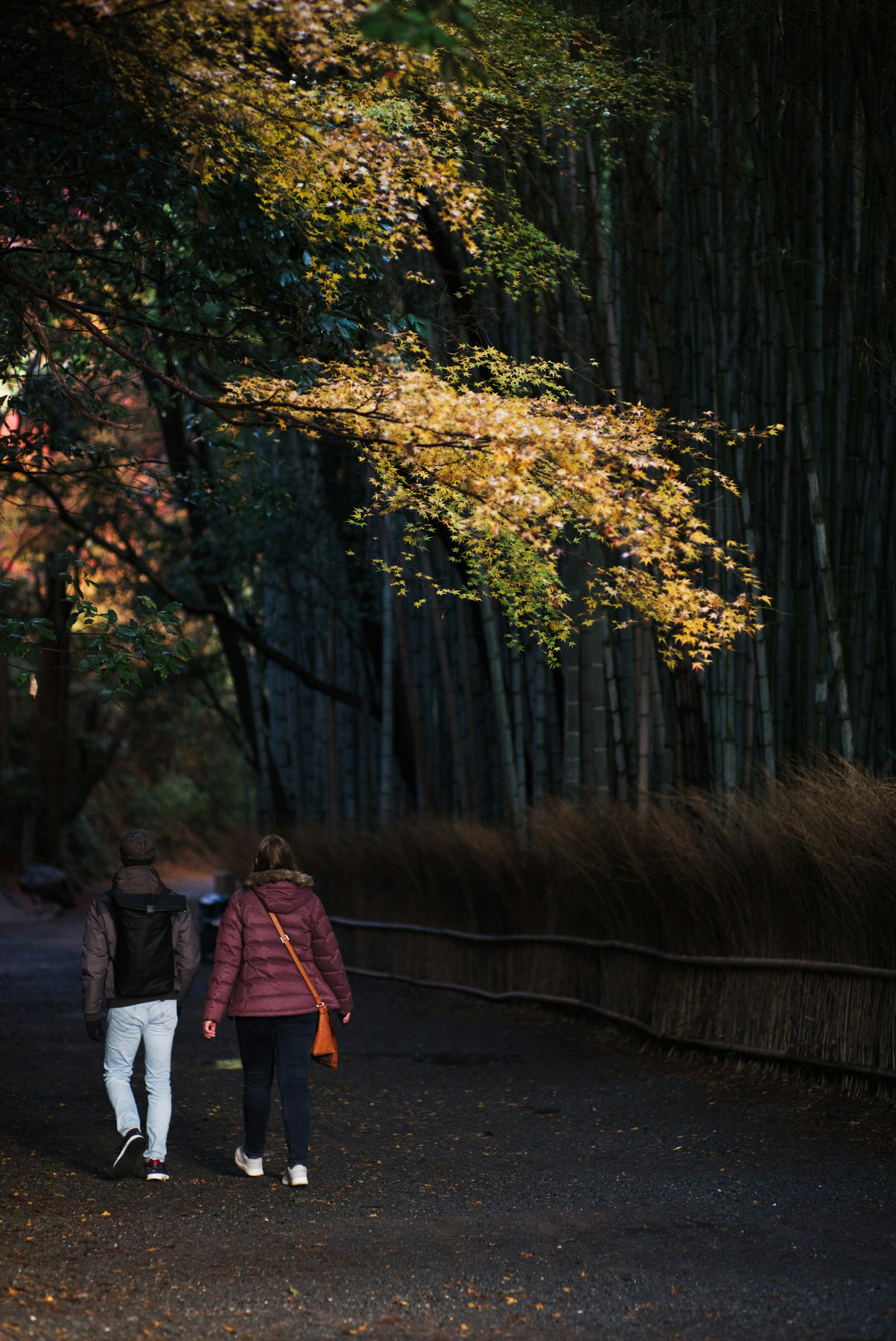 Couple marchant le long d'un chemin dans un bosquet de bambous avec des feuilles d'automne