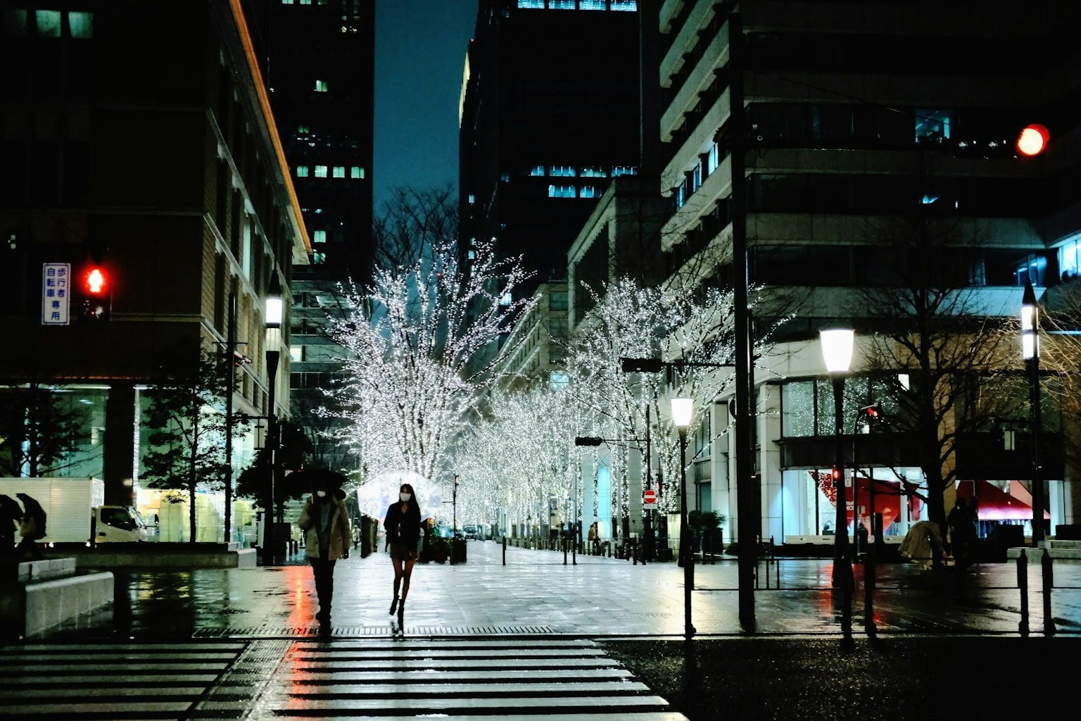 夜间城市景观,照亮的树木和在斑马线上行走的人