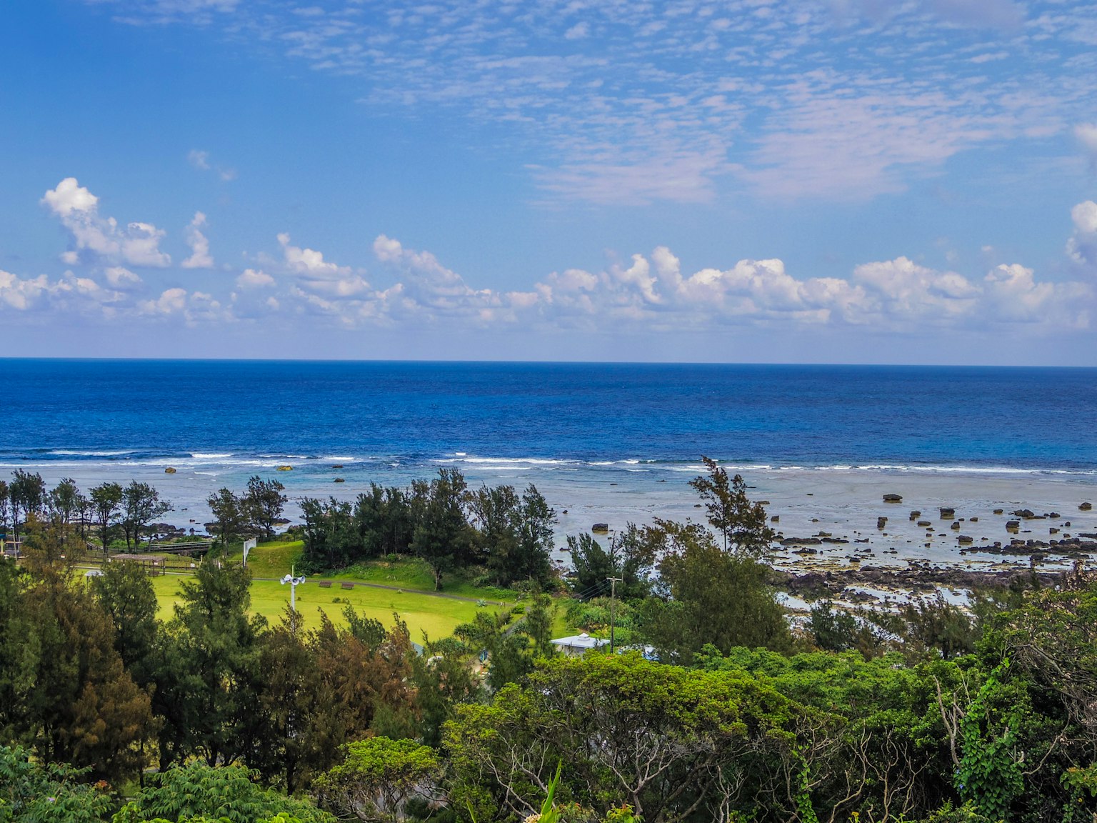 蓝色海洋和天空的风景 绿色树木和草地可见