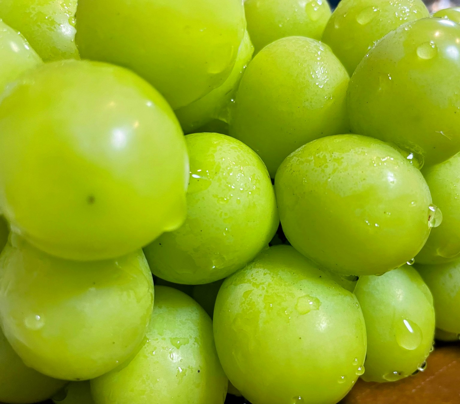 Close-up of fresh shiny green grapes