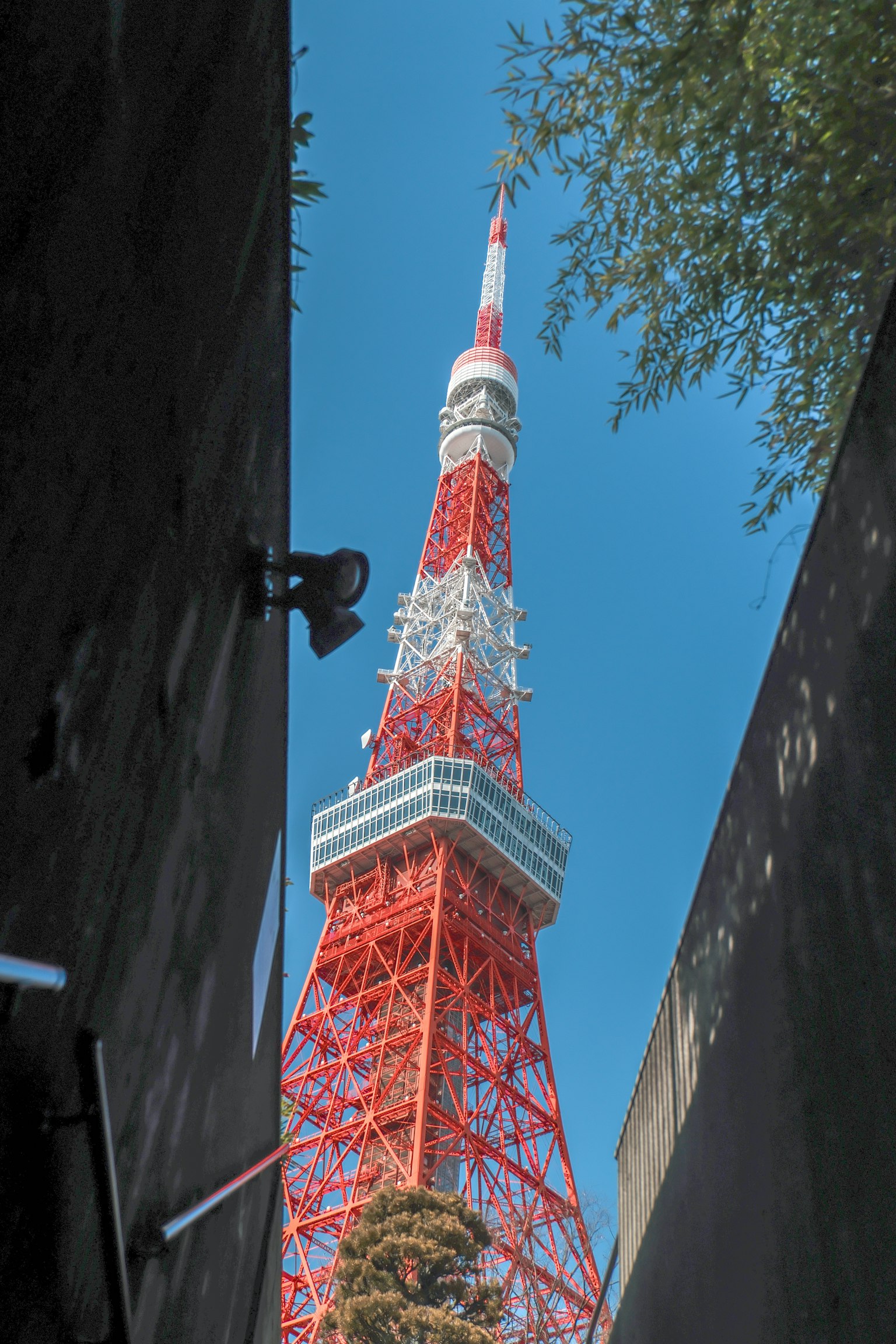 Torre di Tokyo visibile sotto un cielo blu chiaro