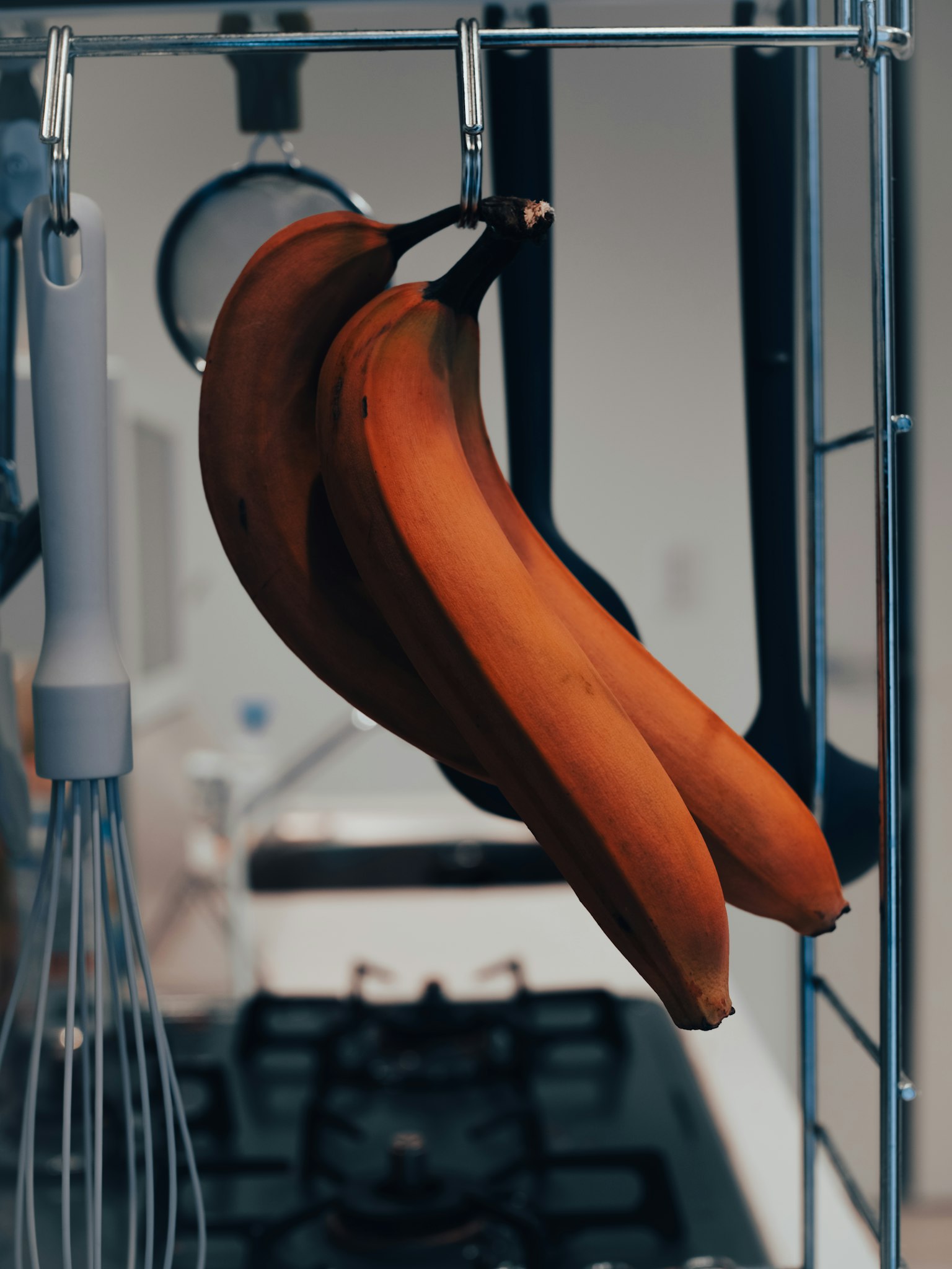 photo-0SuLR7Snt7sc9ygtT255-image