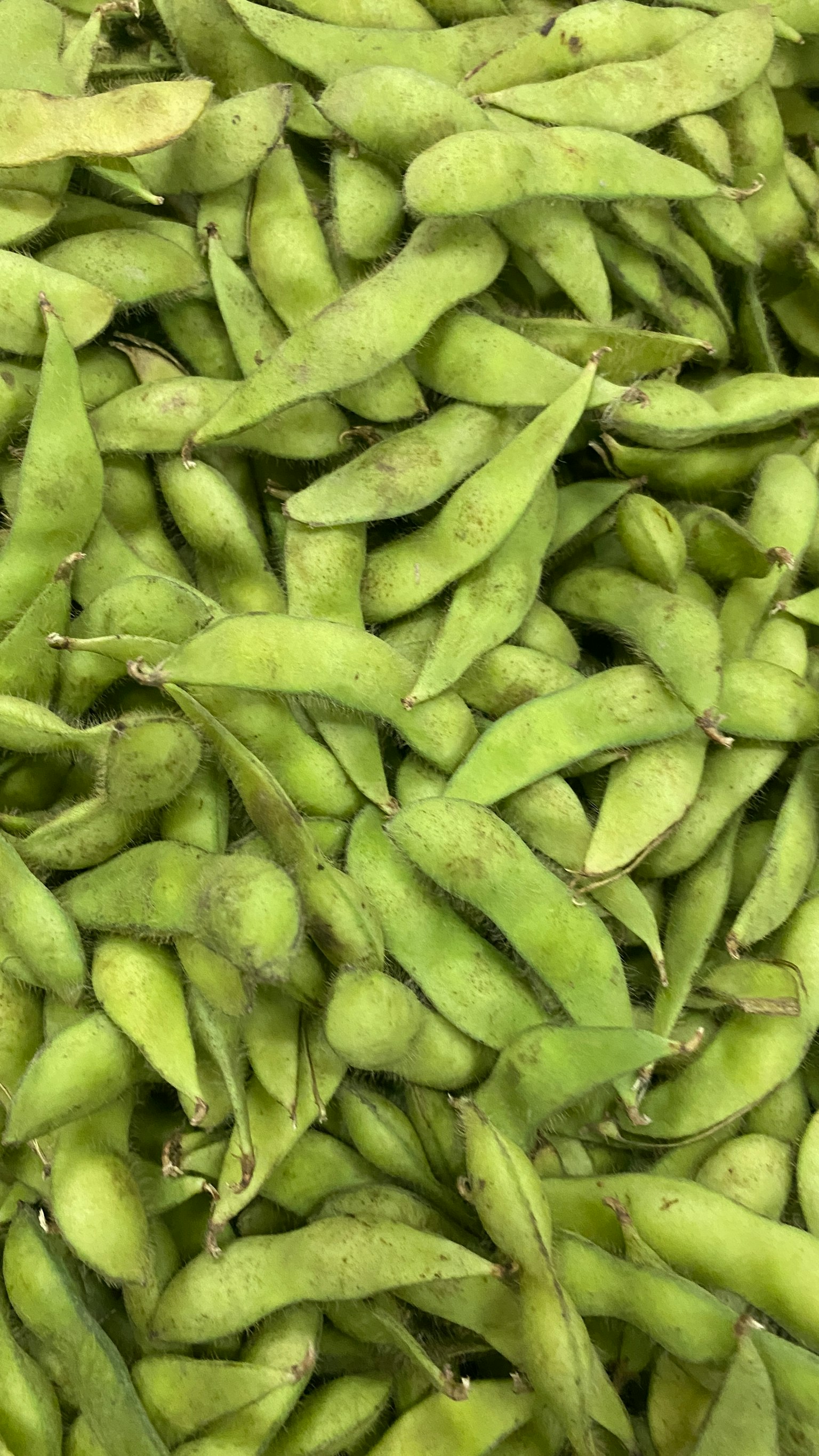 Nahaufnahme von frischen grünen Edamame-Schoten, die übereinander gestapelt sind