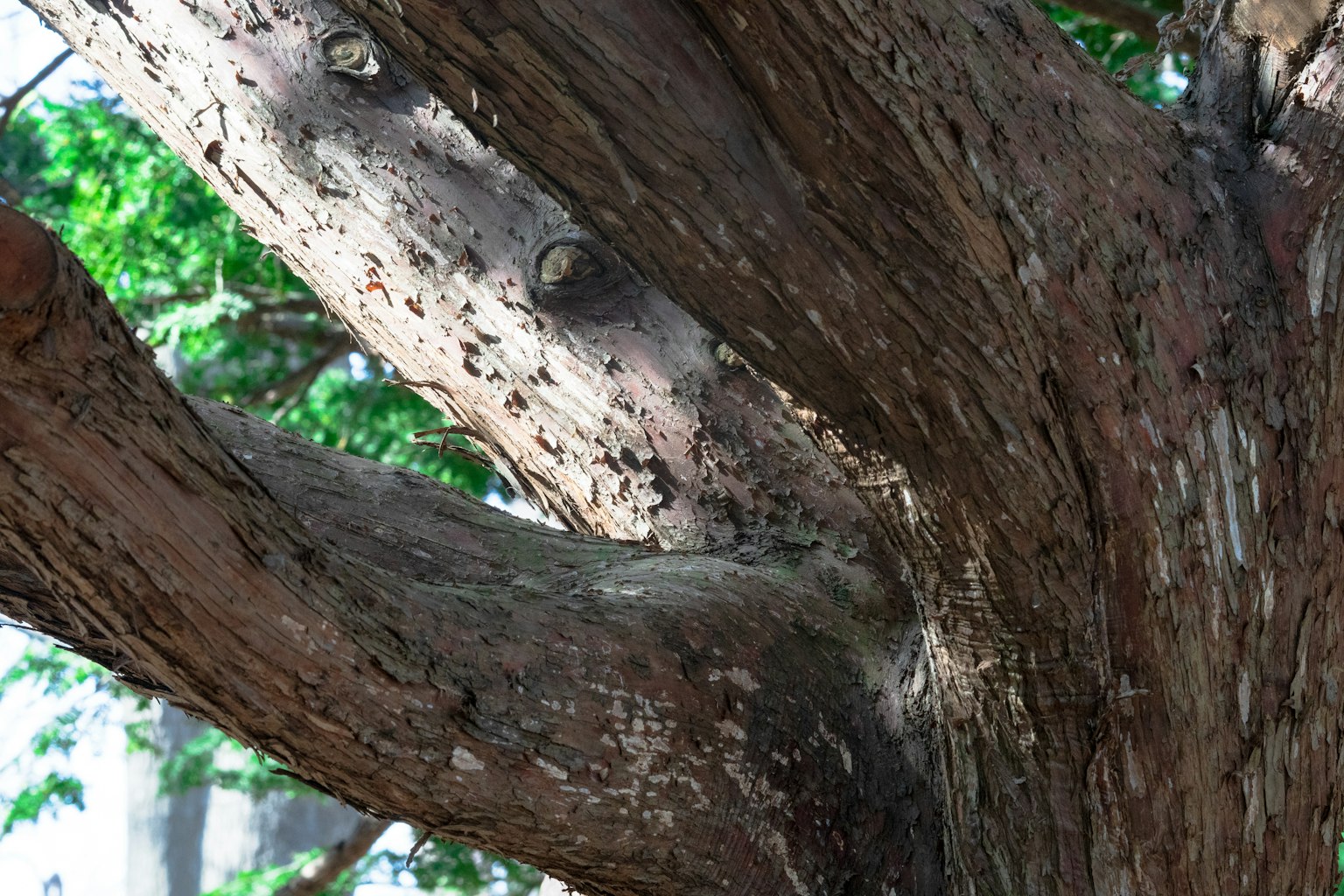 photo-0U3aDPSGHSKGjq0xNIK1-image