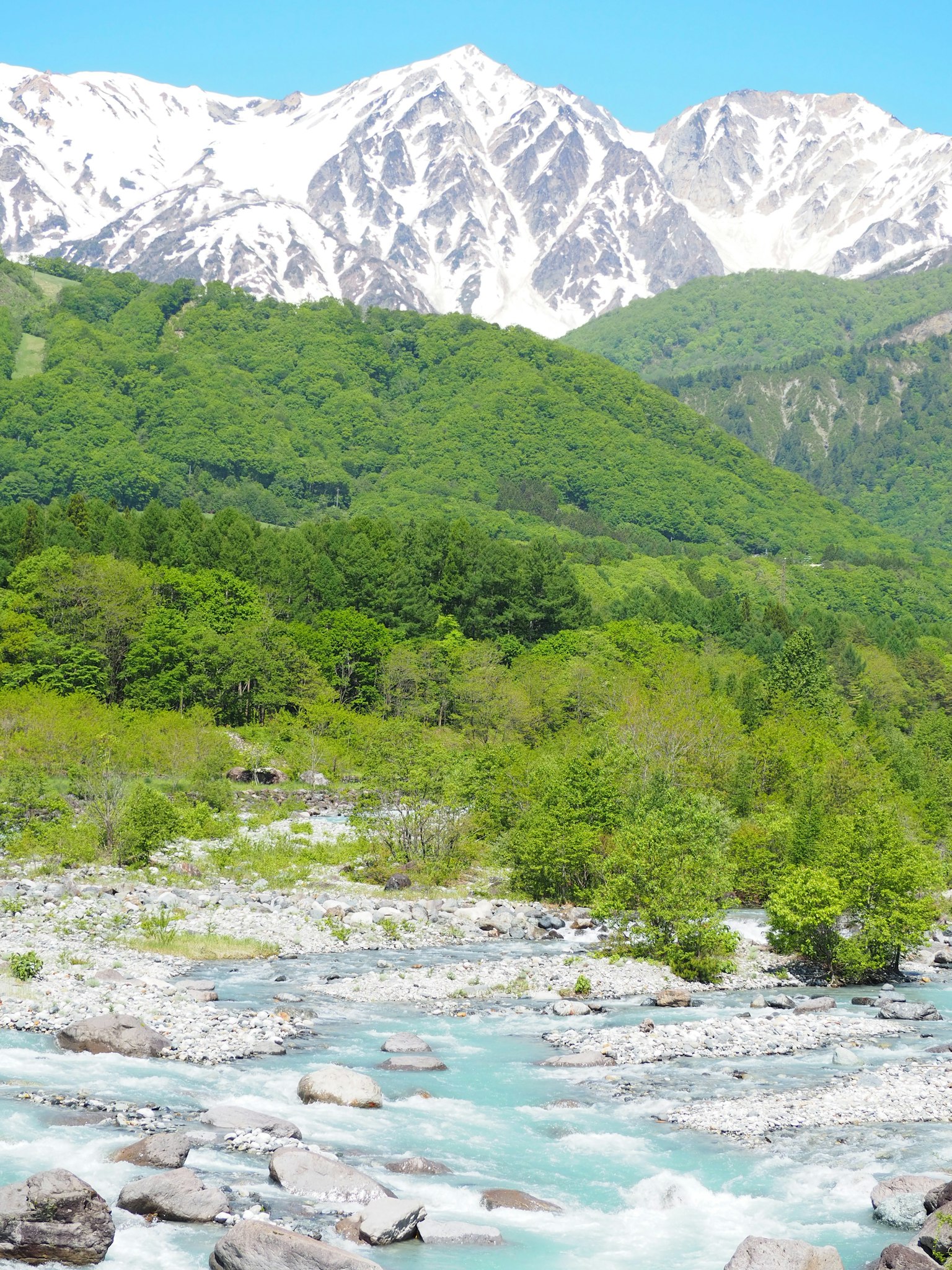 Vista panoramica di un fiume blu circondato da alberi verdi e montagne innevate