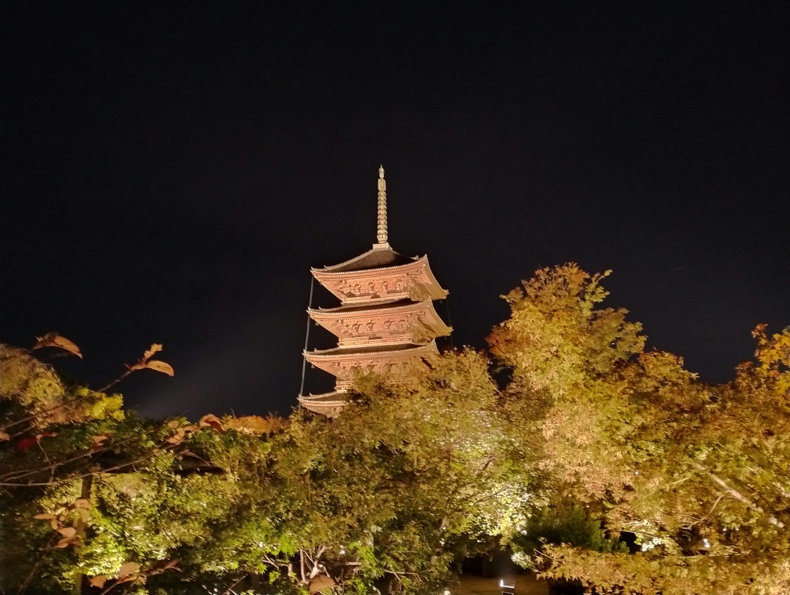 Beleuchtete Pagode bei Nacht umgeben von Bäumen