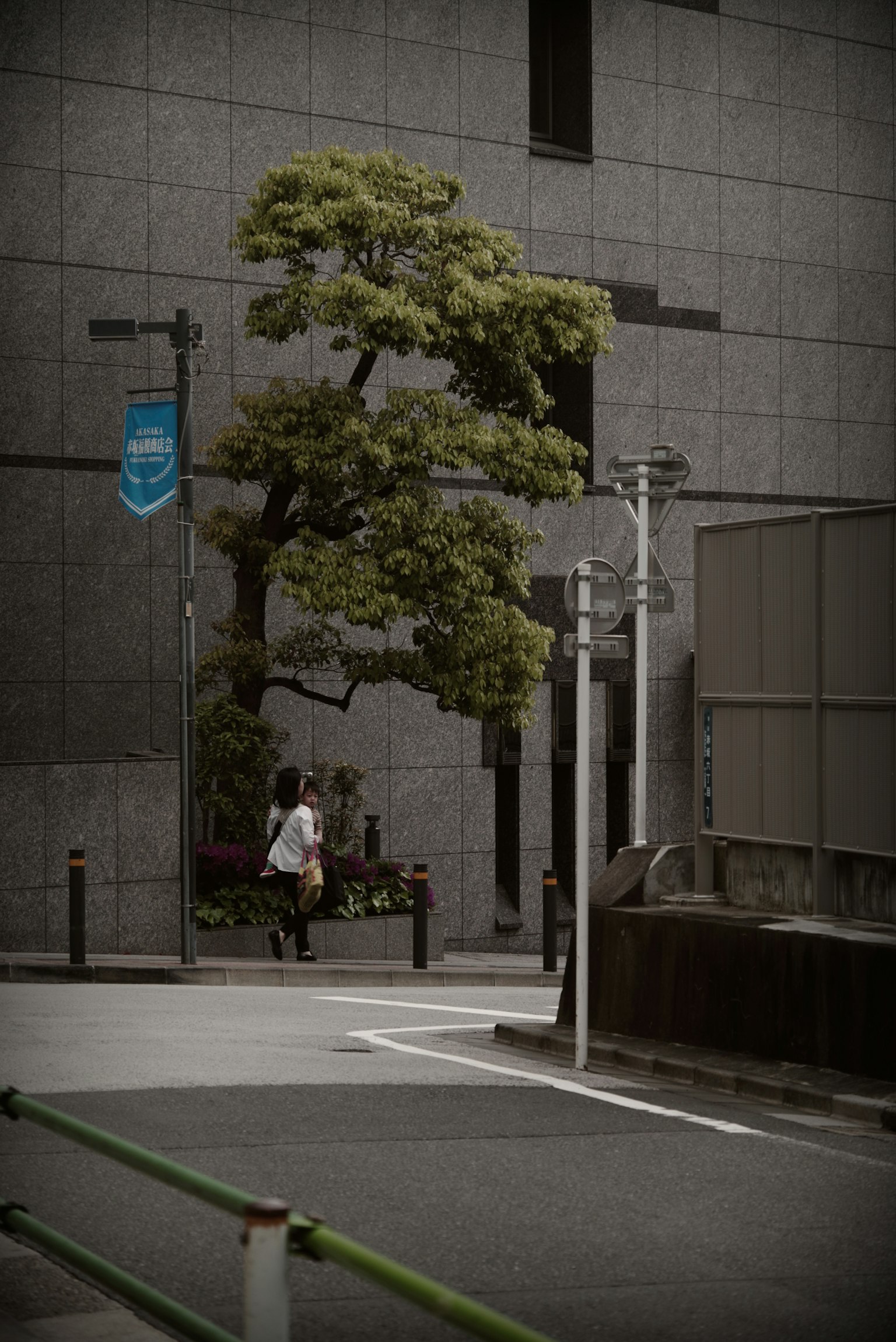 A green tree in front of a gray building with a pedestrian