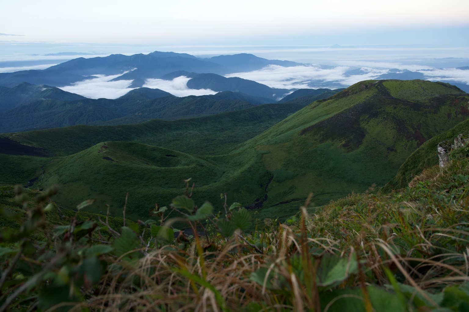 Montañas verdes que dominan un mar de nubes