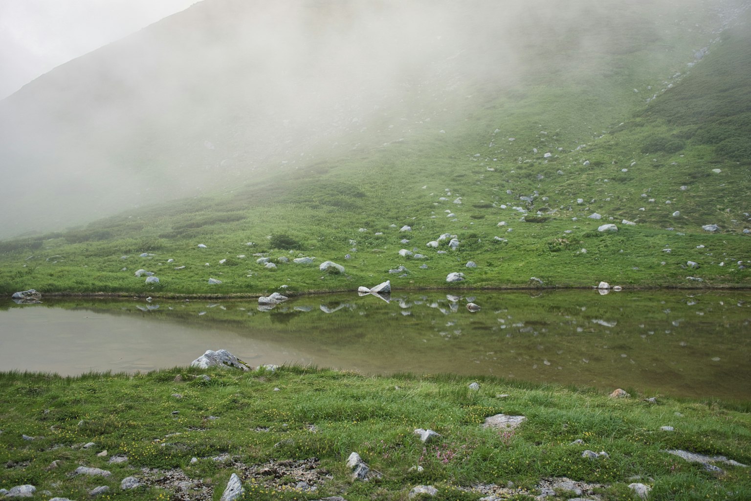Collina verde avvolta nella nebbia con rocce sparse e uno stagno calmo