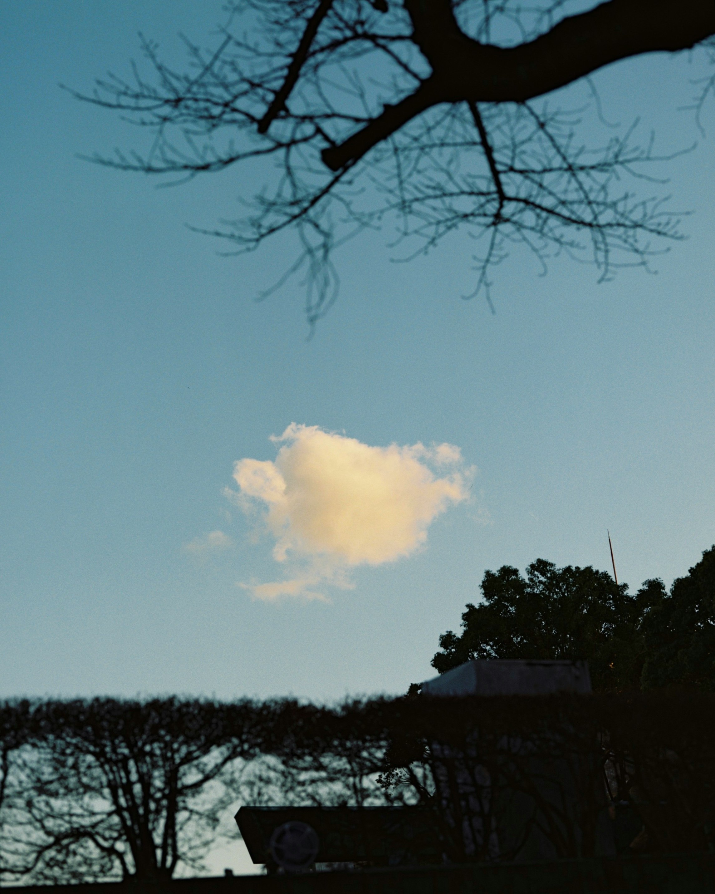 夕暮れの空に浮かぶ雲と木々のシルエット