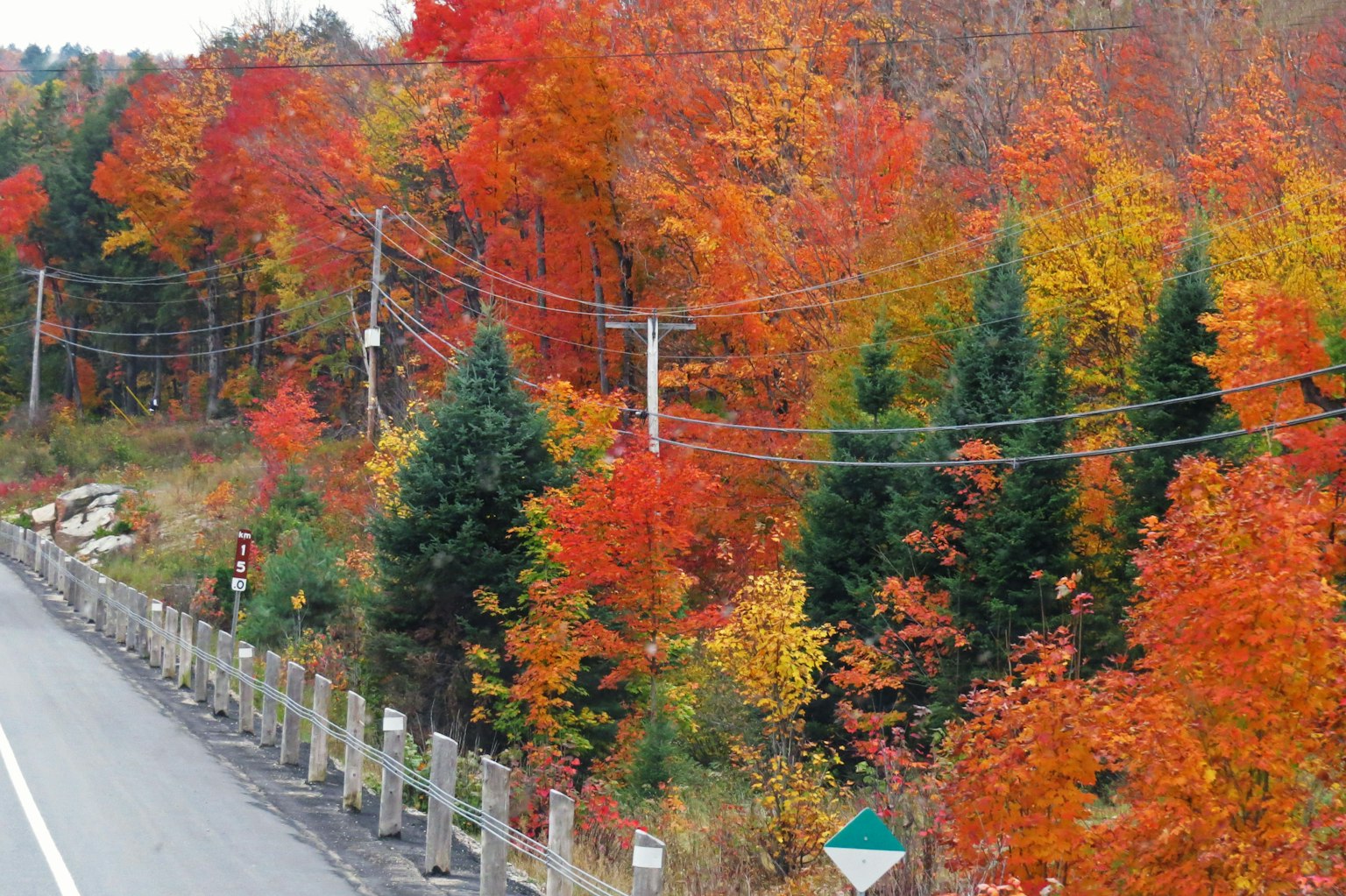 Paysage d'automne avec des arbres aux feuillages rouges et orange vifs le long de la route avec des lignes électriques et une clôture