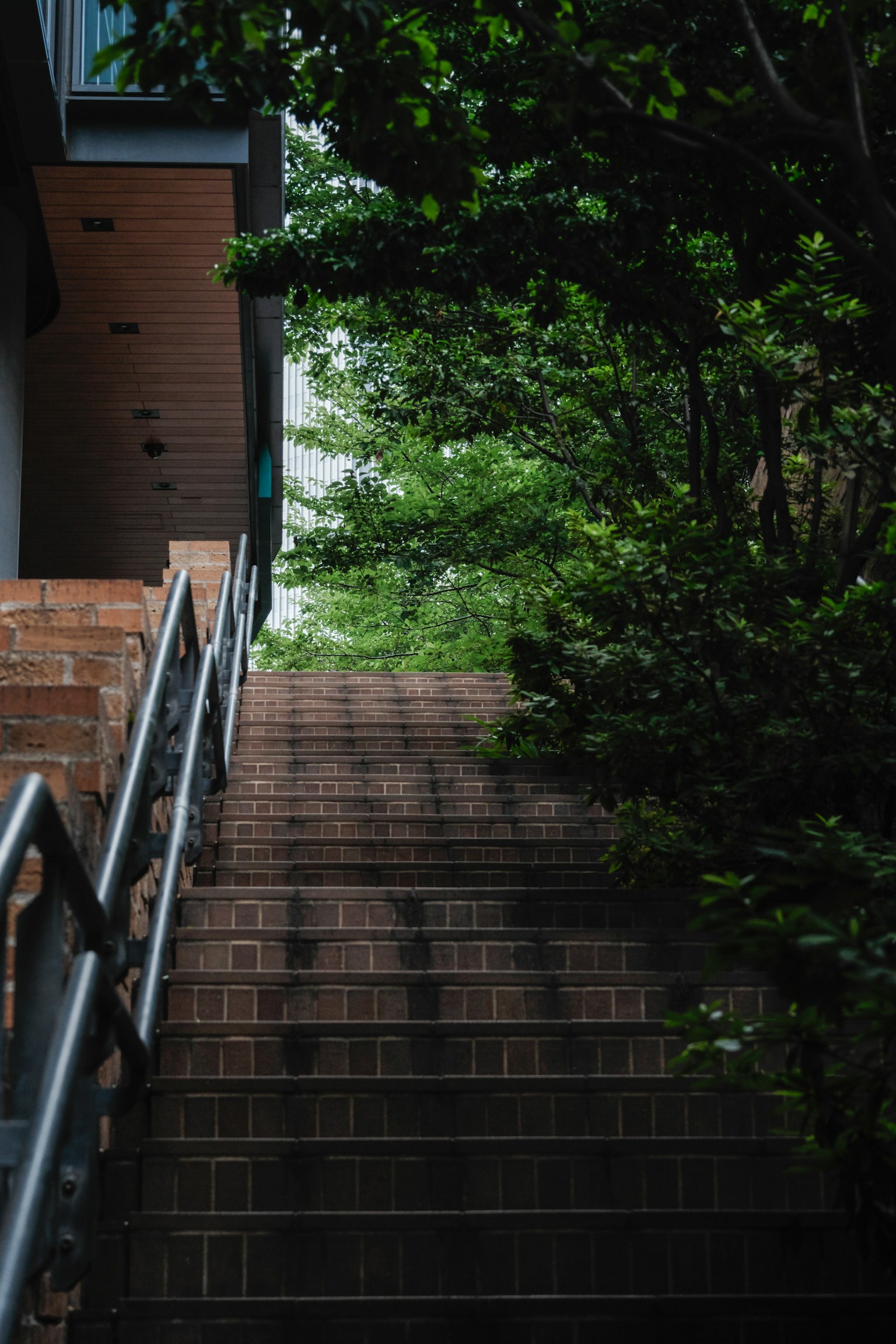 Stairs surrounded by greenery in a tranquil setting