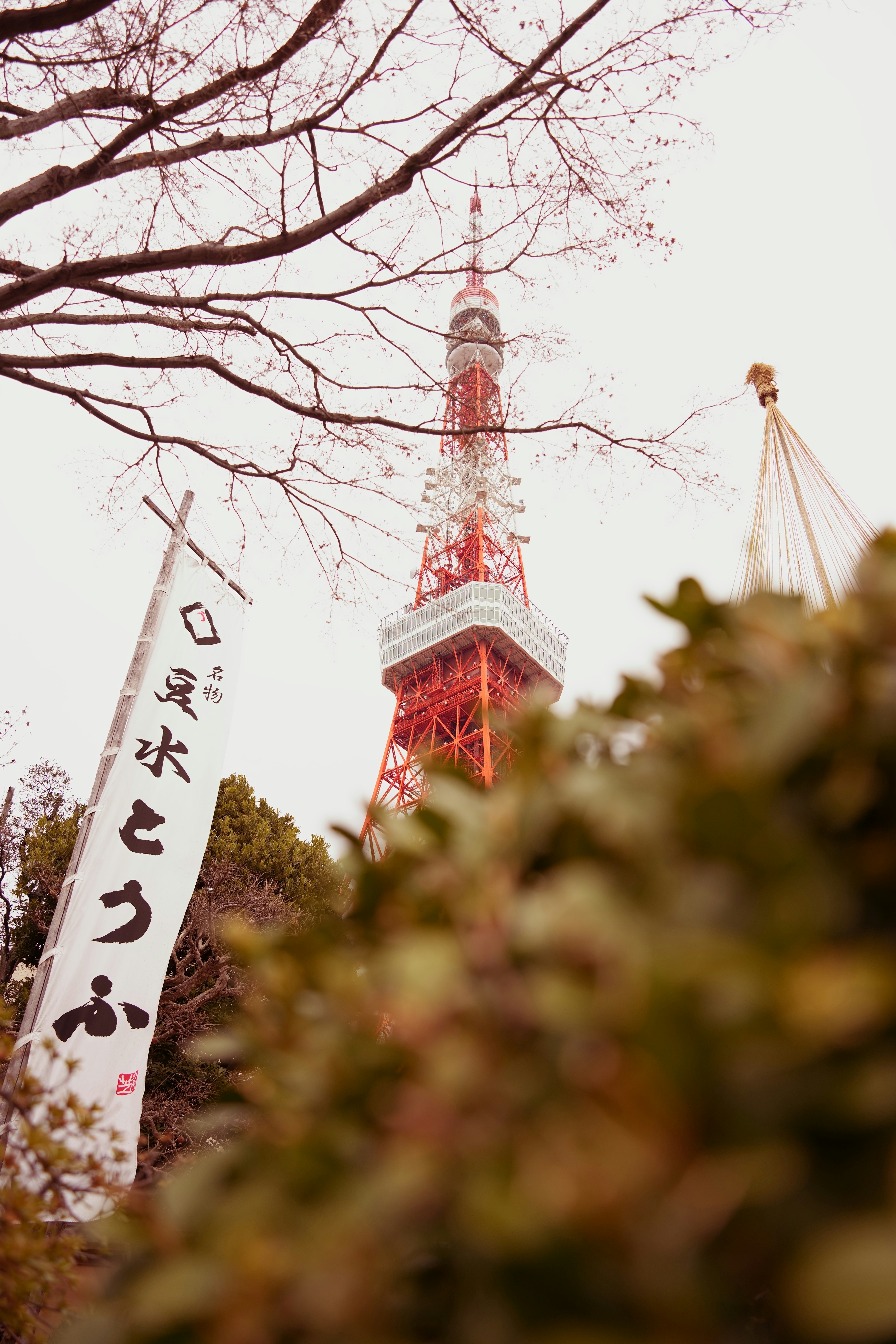 桜の枝と東京タワーを望む春の街並み