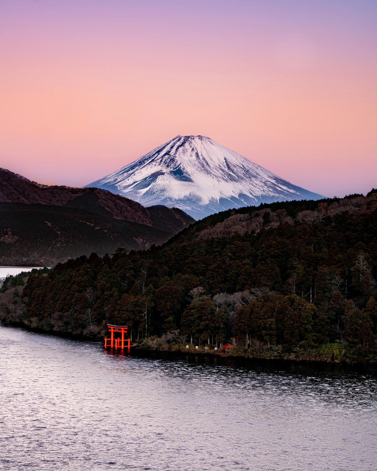 Paysage magnifique avec le mont Fuji et un lac avec des cerisiers en fleurs