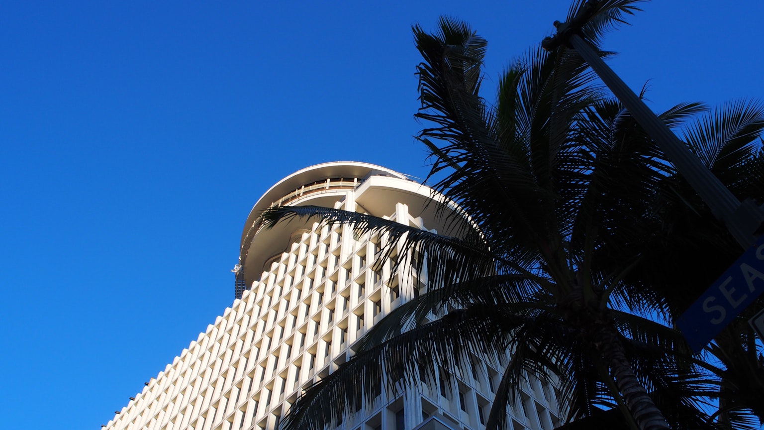 Bâtiment à la forme unique s'élevant sous le ciel bleu avec un palmier