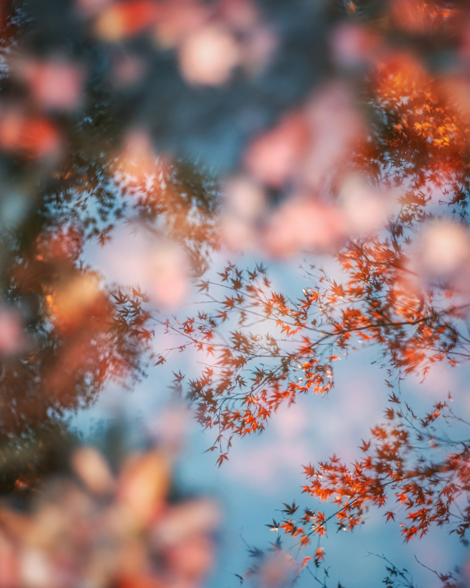 Soft colors of autumn leaves reflected on the water surface