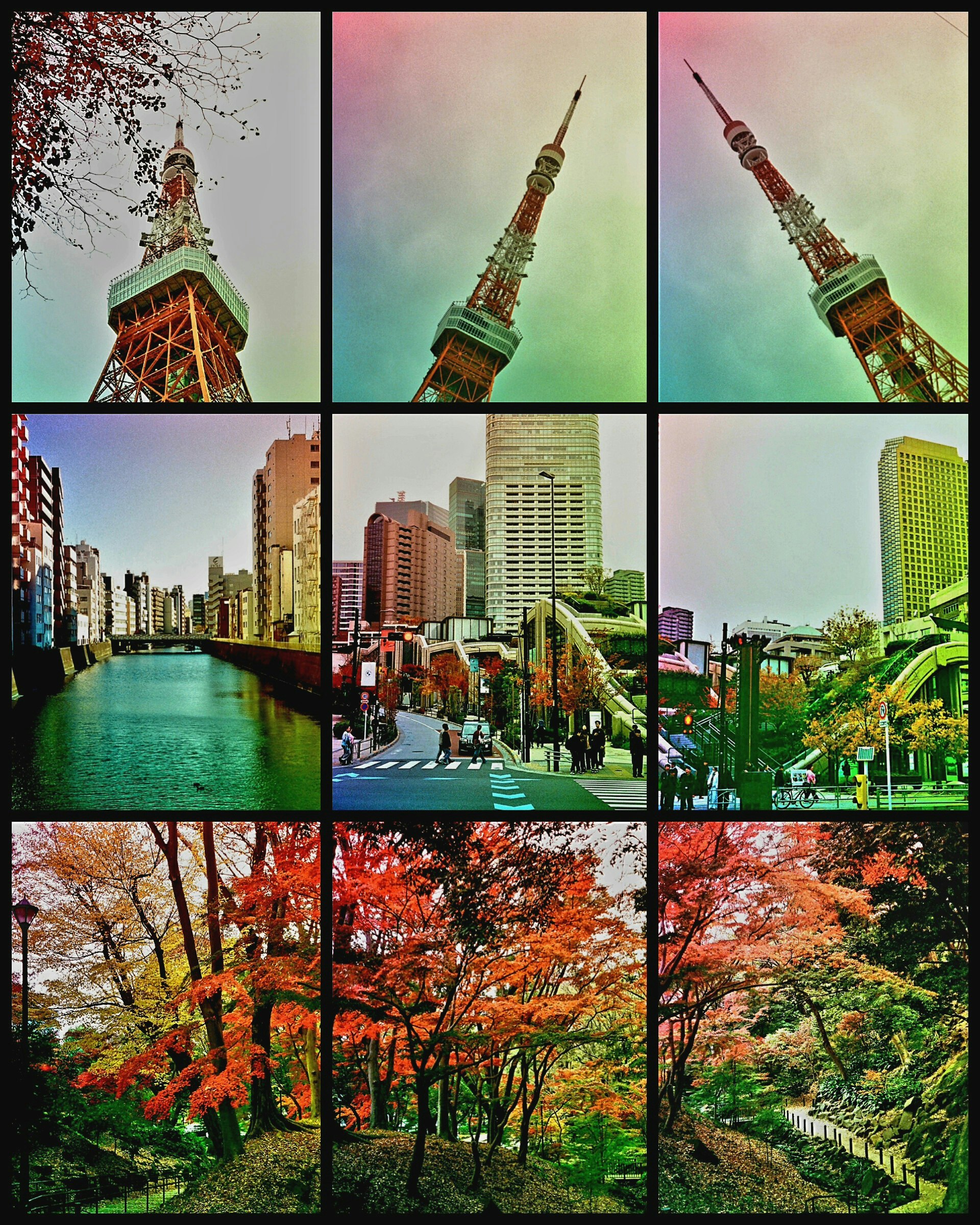 東京タワーと街並み、秋の紅葉が並ぶフィルム風ディピティック