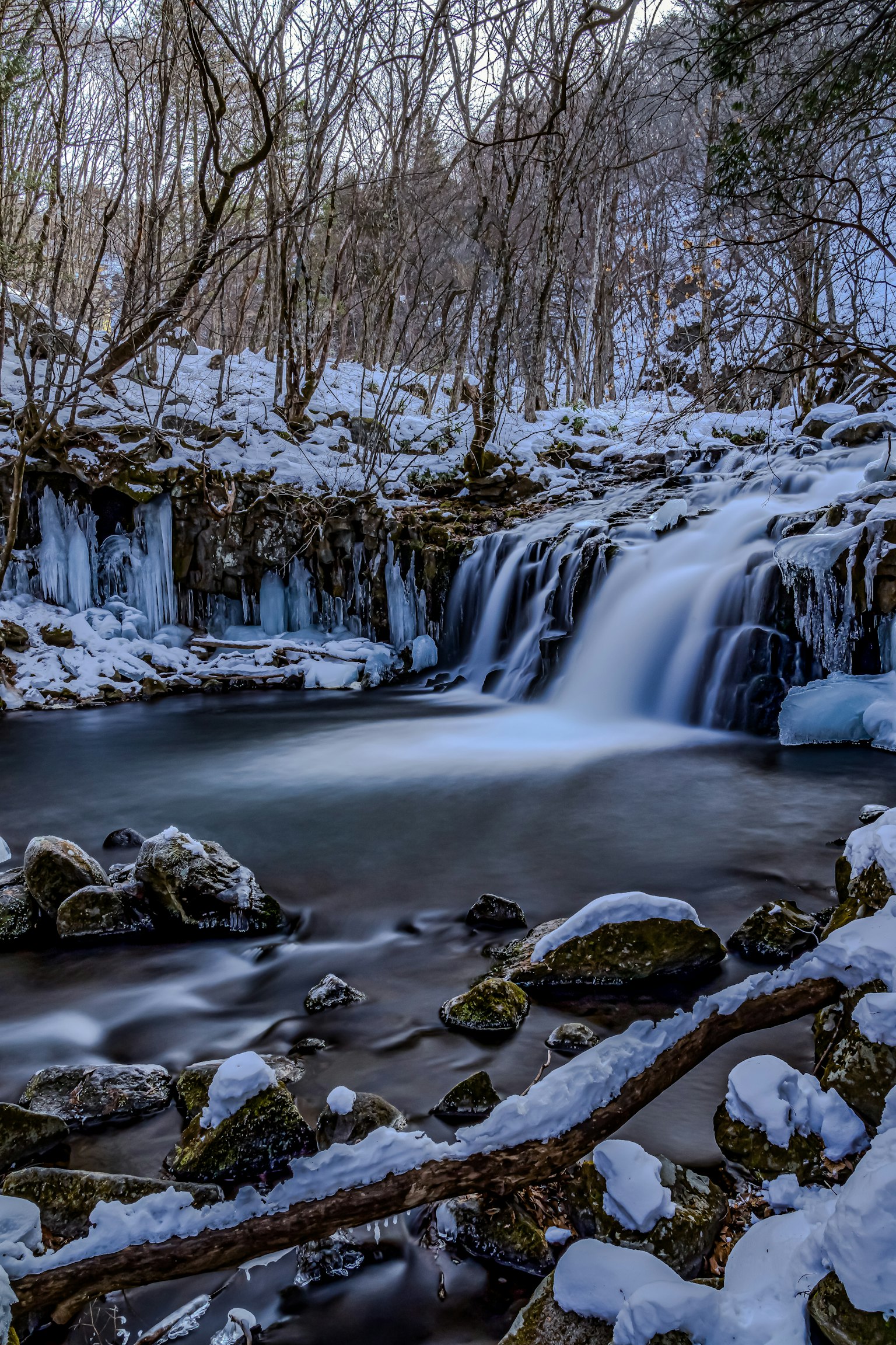 Cascata invernale con rocce coperte di ghiaccio e alberi in un ambiente sereno