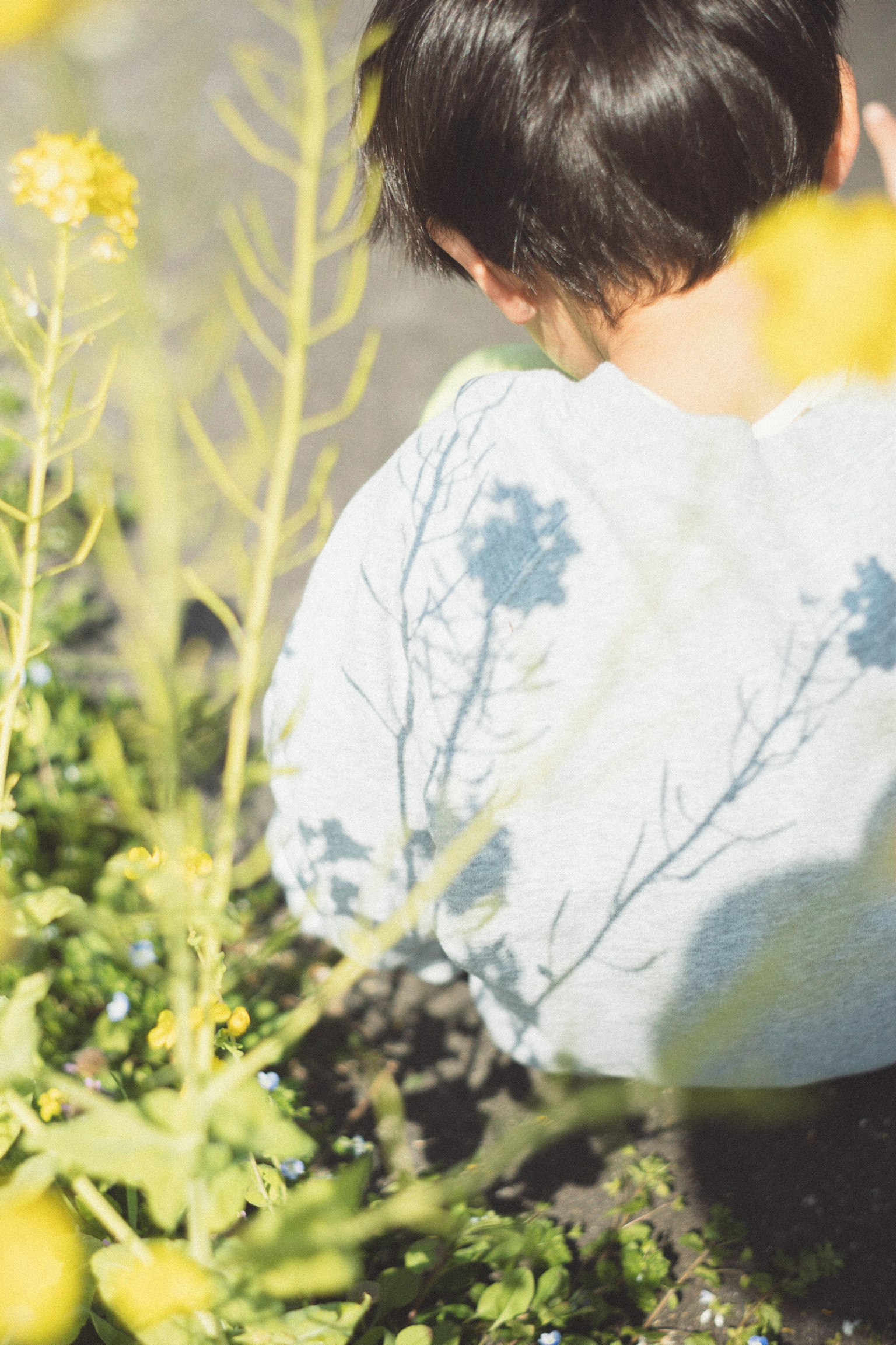 Ein Kind von hinten umgeben von gelben Blumen