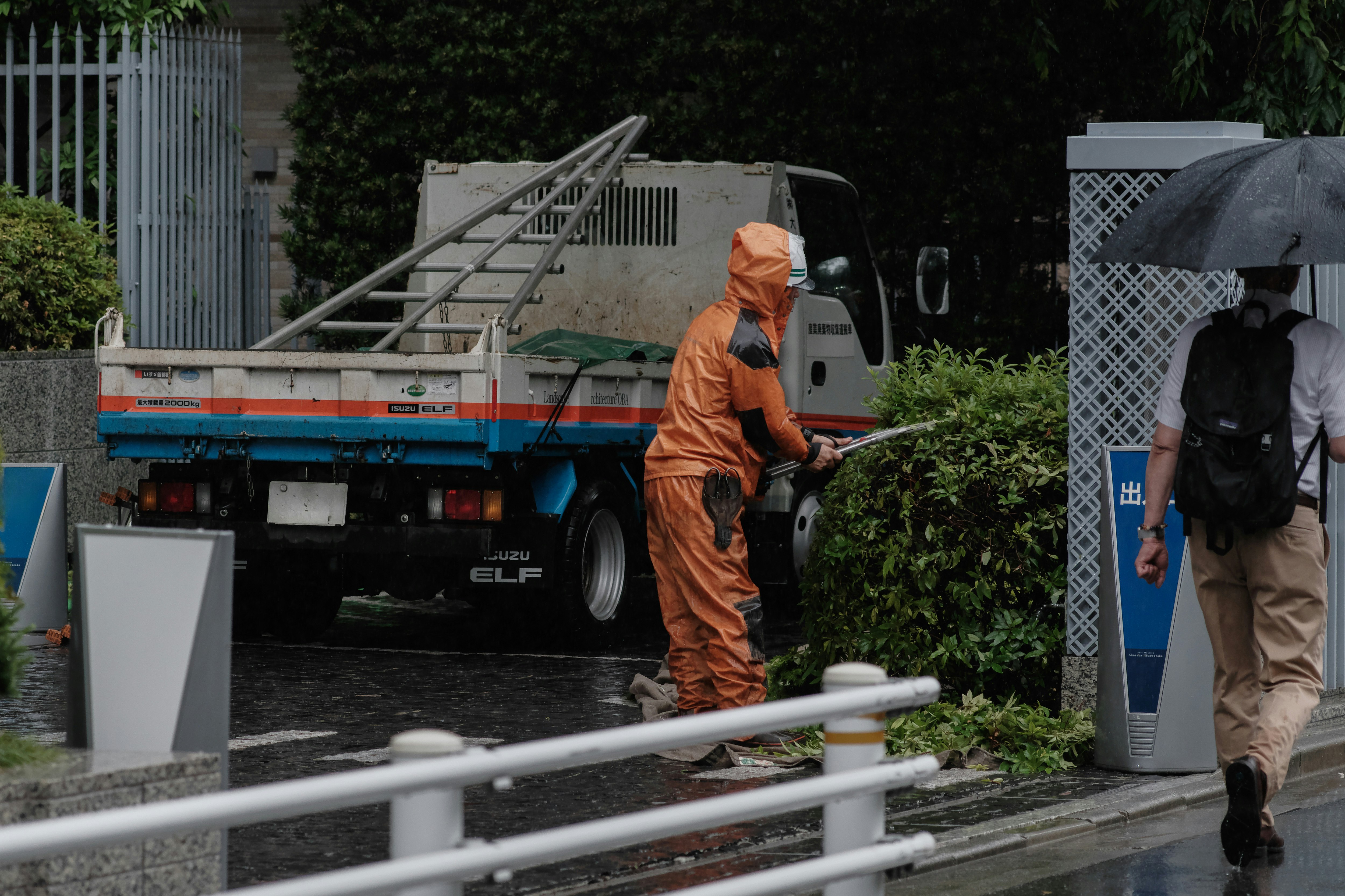 Workers pruning on a rainy day along a wet walkway