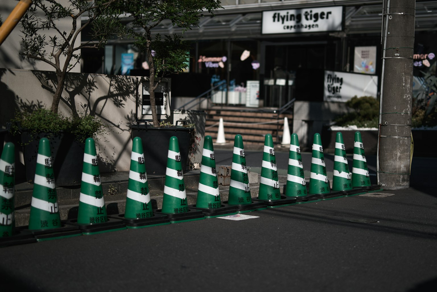 Line of green and white traffic cones along the street